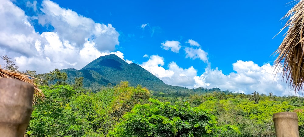 a view of a mountain in the distance