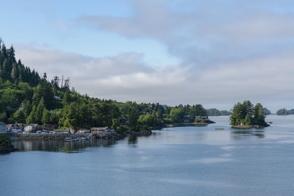 a large body of water surrounded by trees