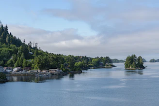 a large body of water surrounded by trees
