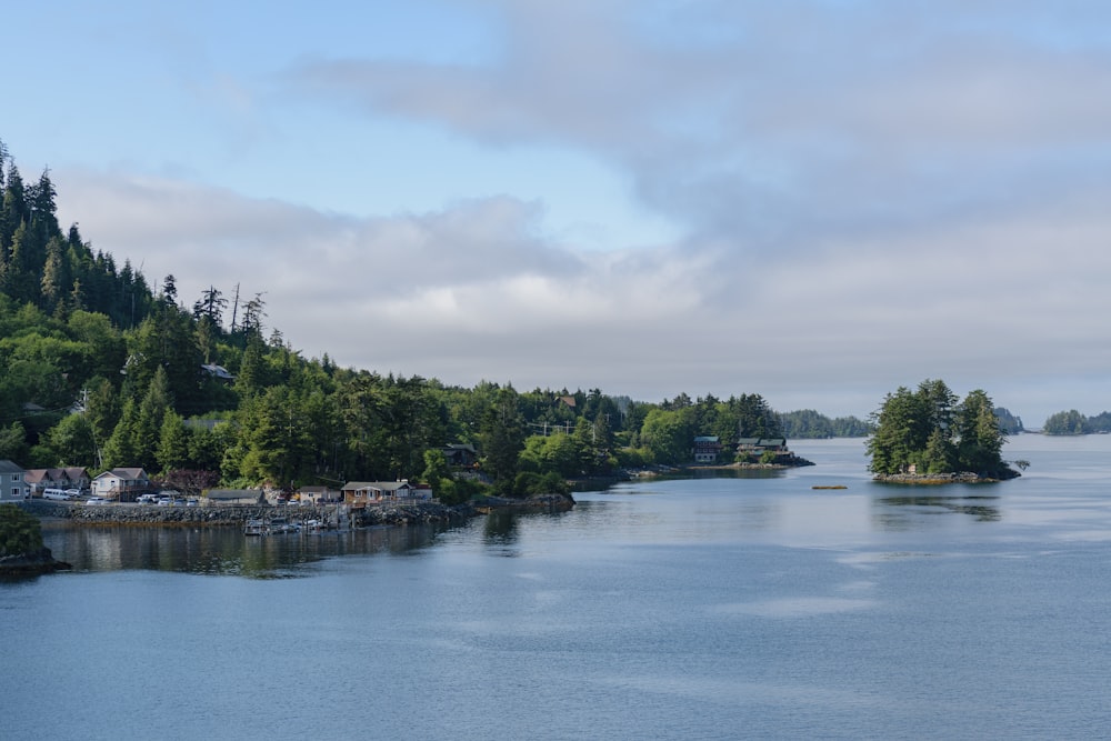 a large body of water surrounded by trees