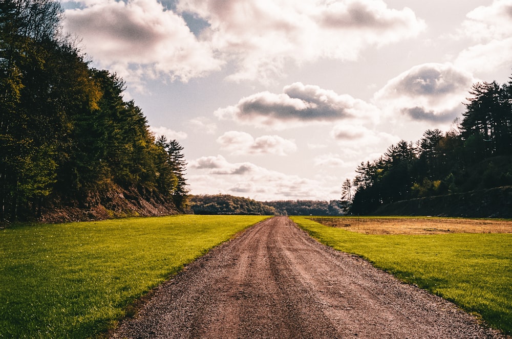 a dirt road in the middle of a grassy field