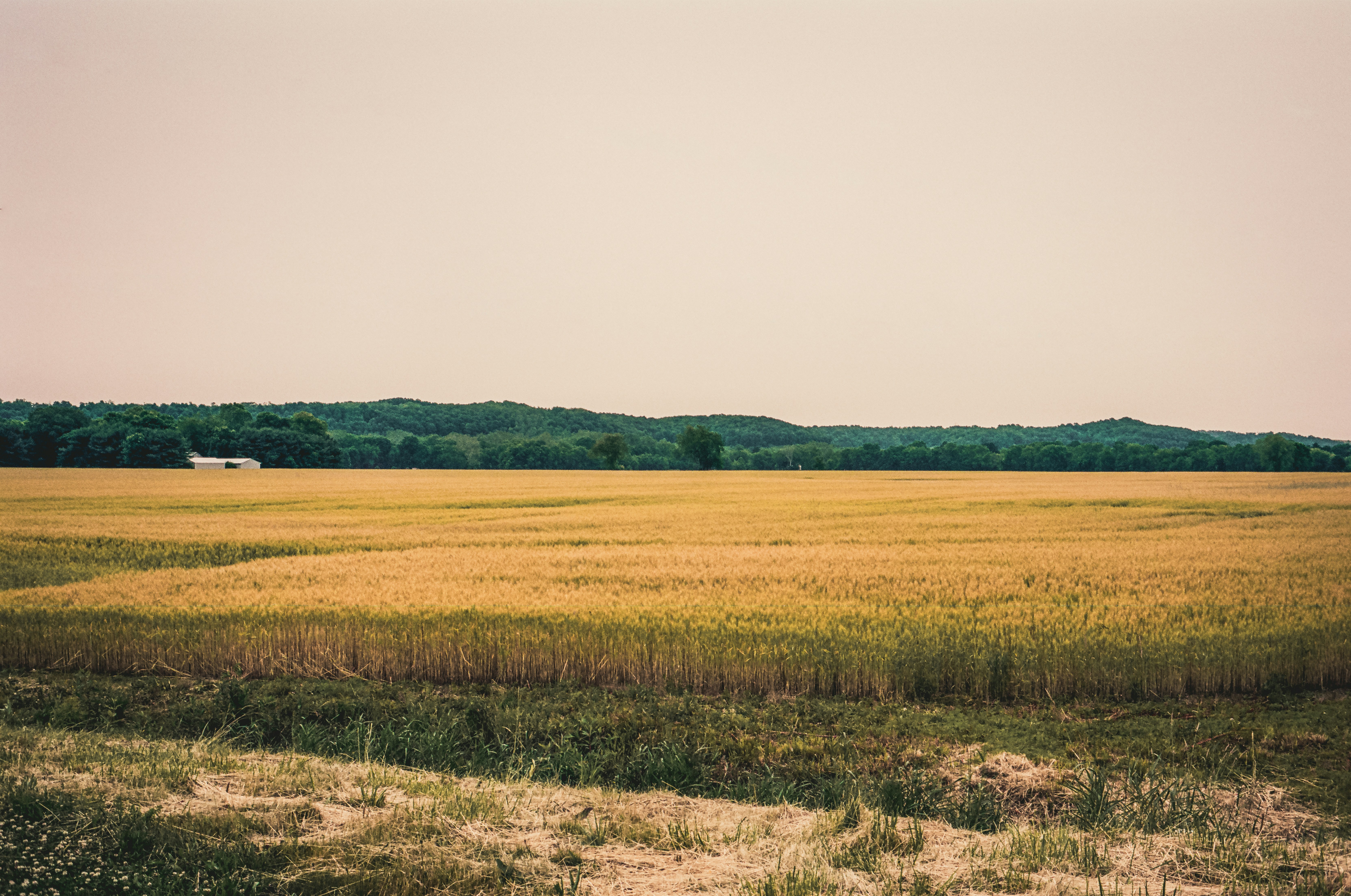 Photo by ryangrewell