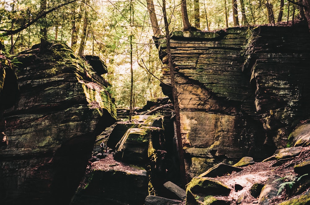 a large rock formation in the middle of a forest