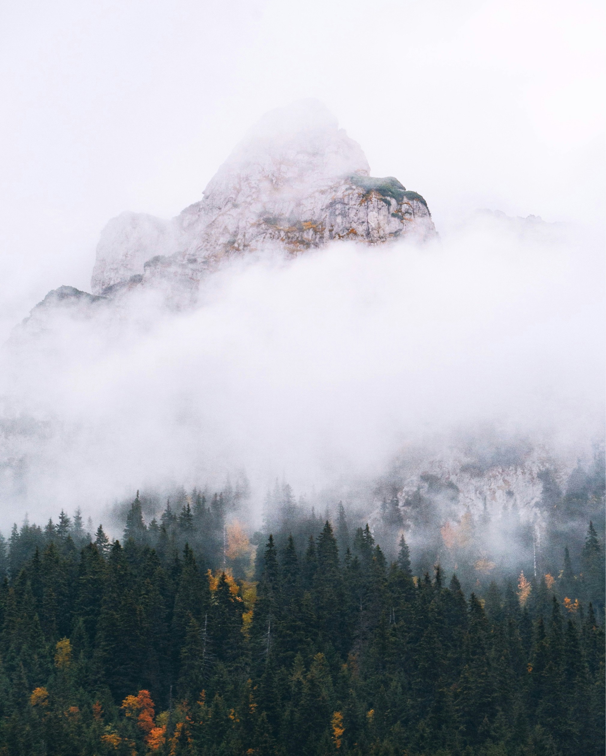 Photo by gloriacretu