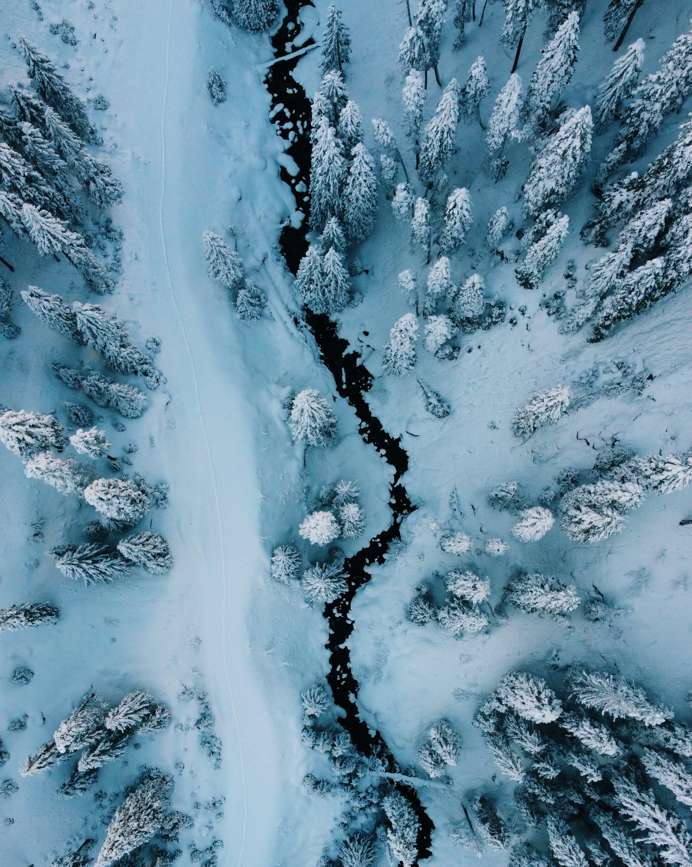 Photo by gloriacretu