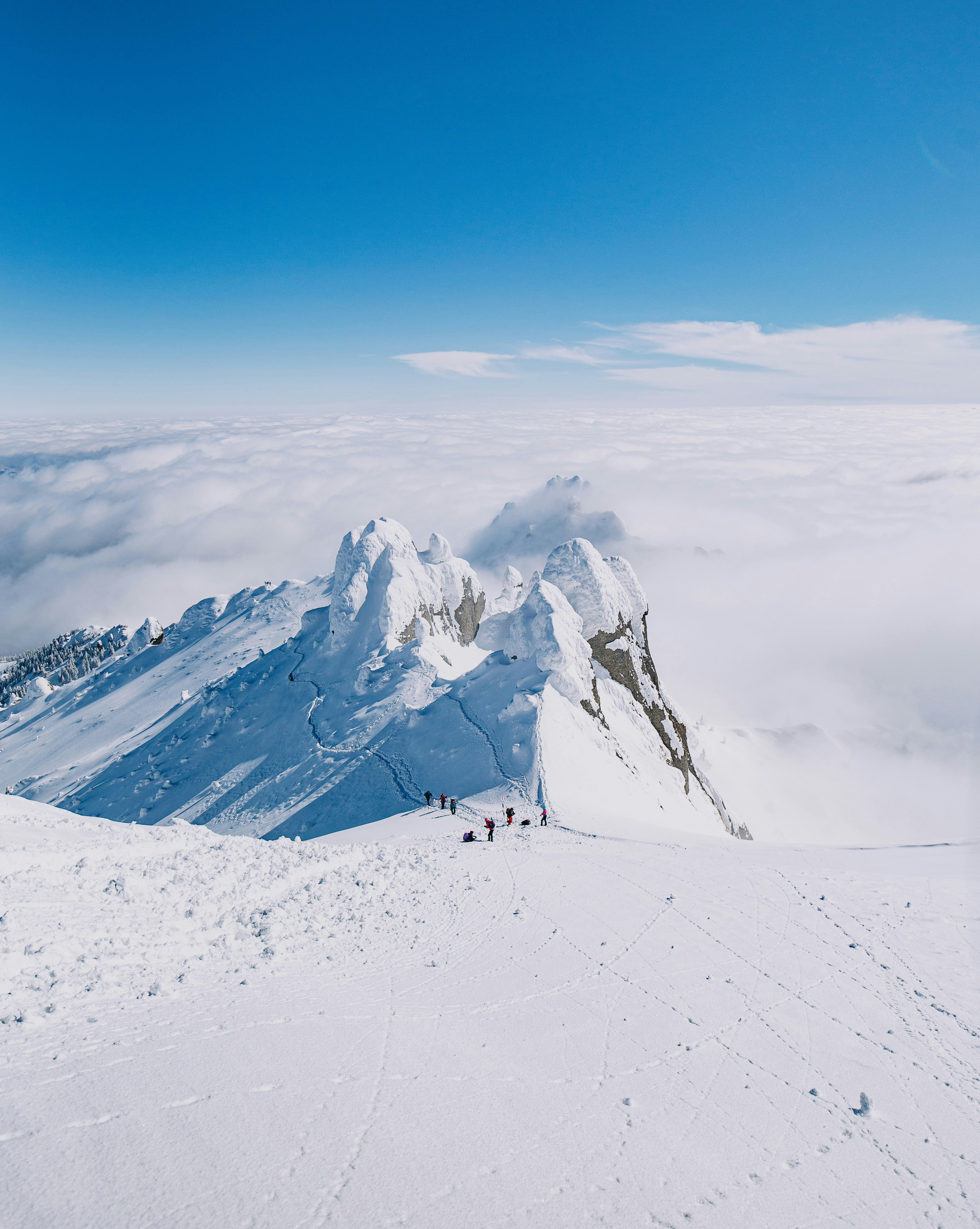 Photo by gloriacretu