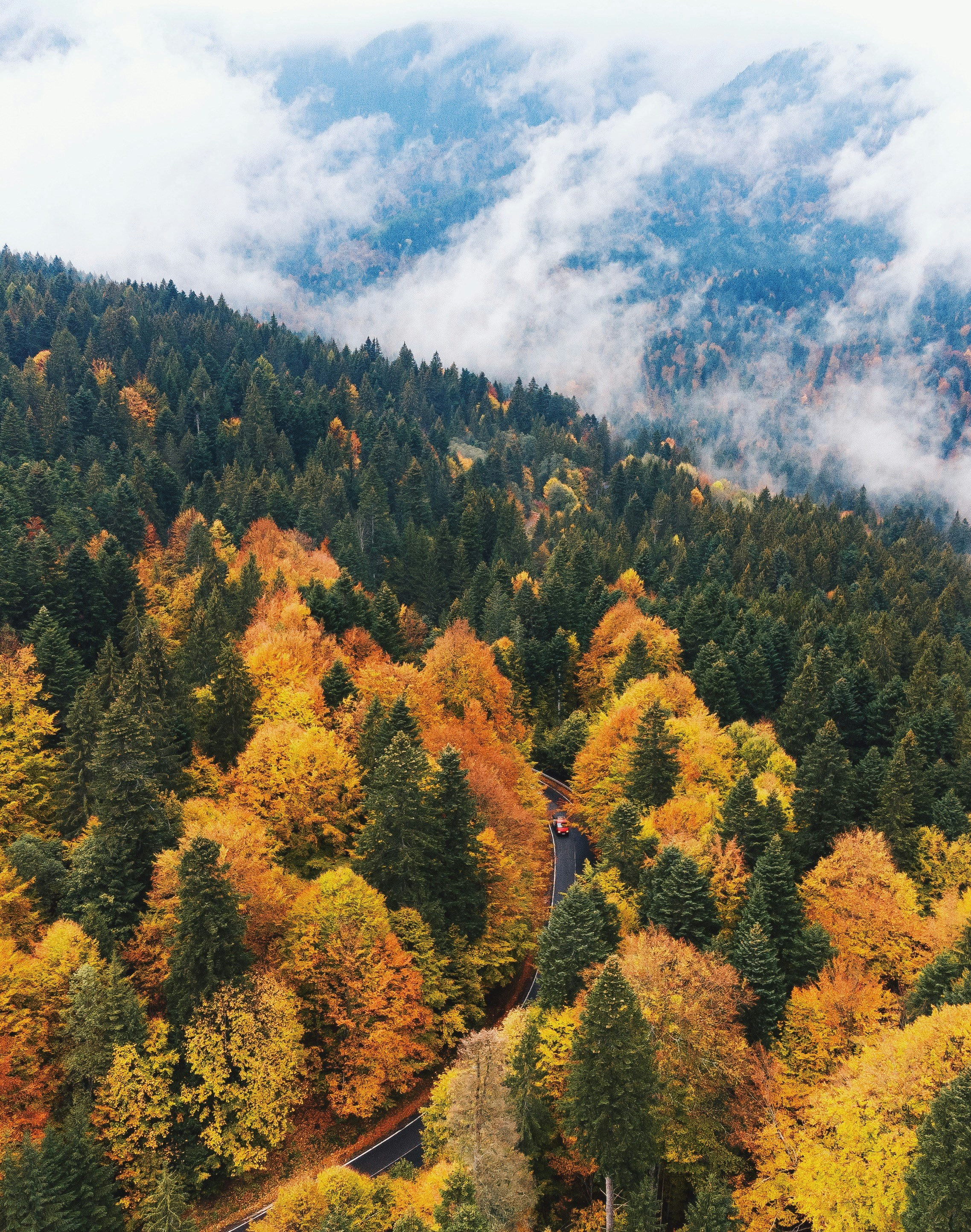 Photo by gloriacretu