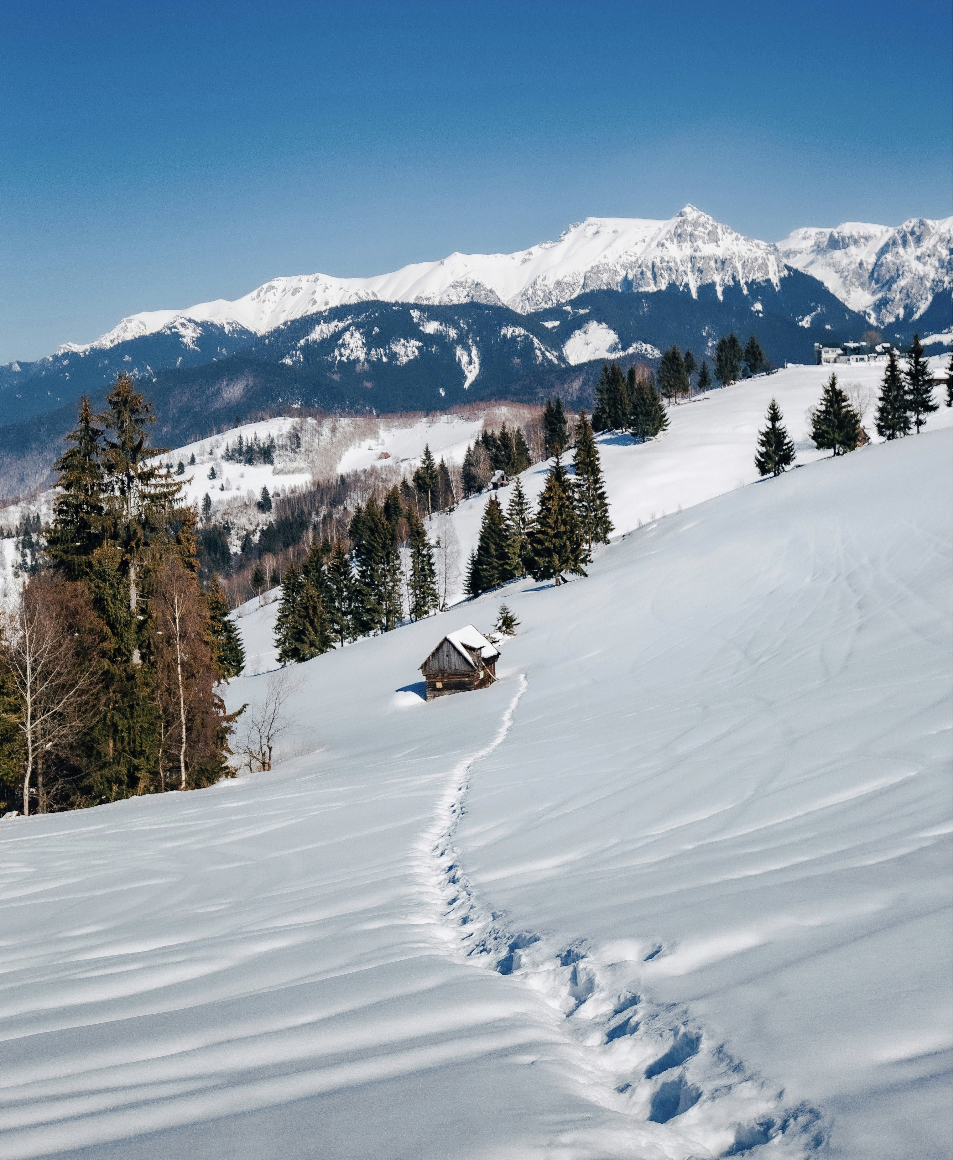 Photo by gloriacretu