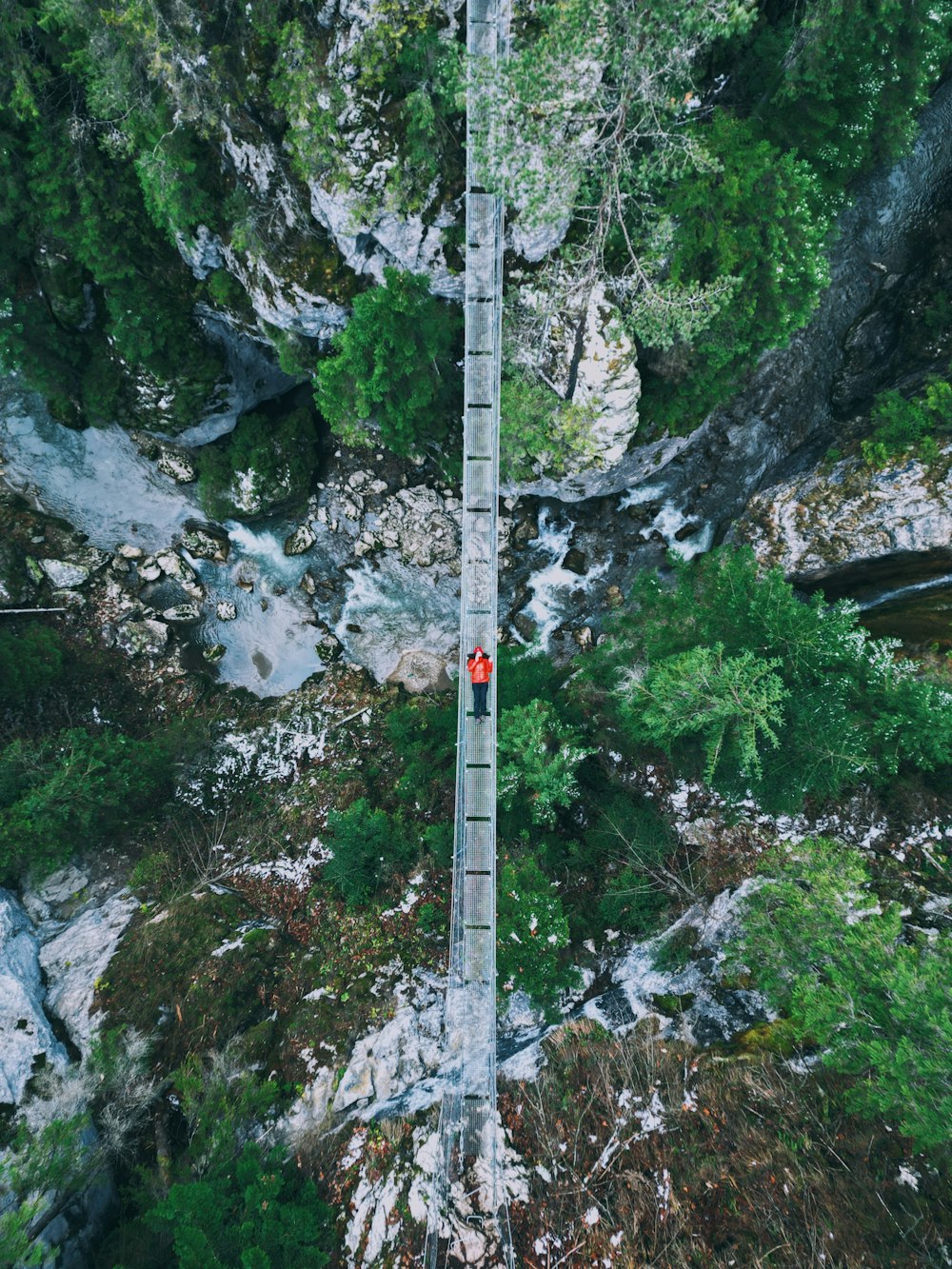 a man standing on a ladder in the middle of a forest