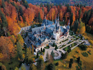 The grand entrance of Kilkea Castle framed by autumnal trees with vibrant orange and red leaves.