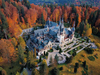 The grand entrance of Kilkea Castle framed by autumnal trees with vibrant orange and red leaves.
