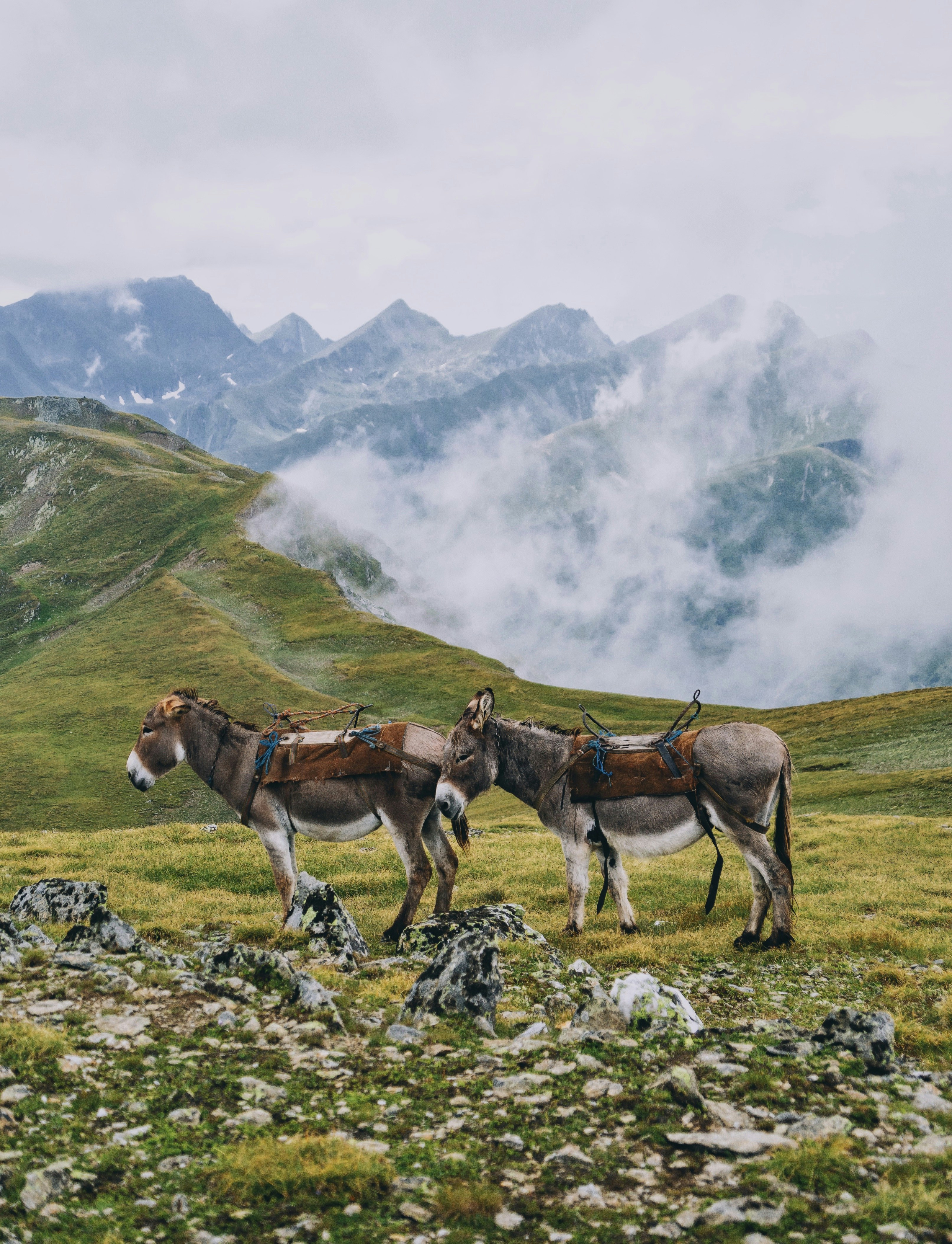 Photo by gloriacretu