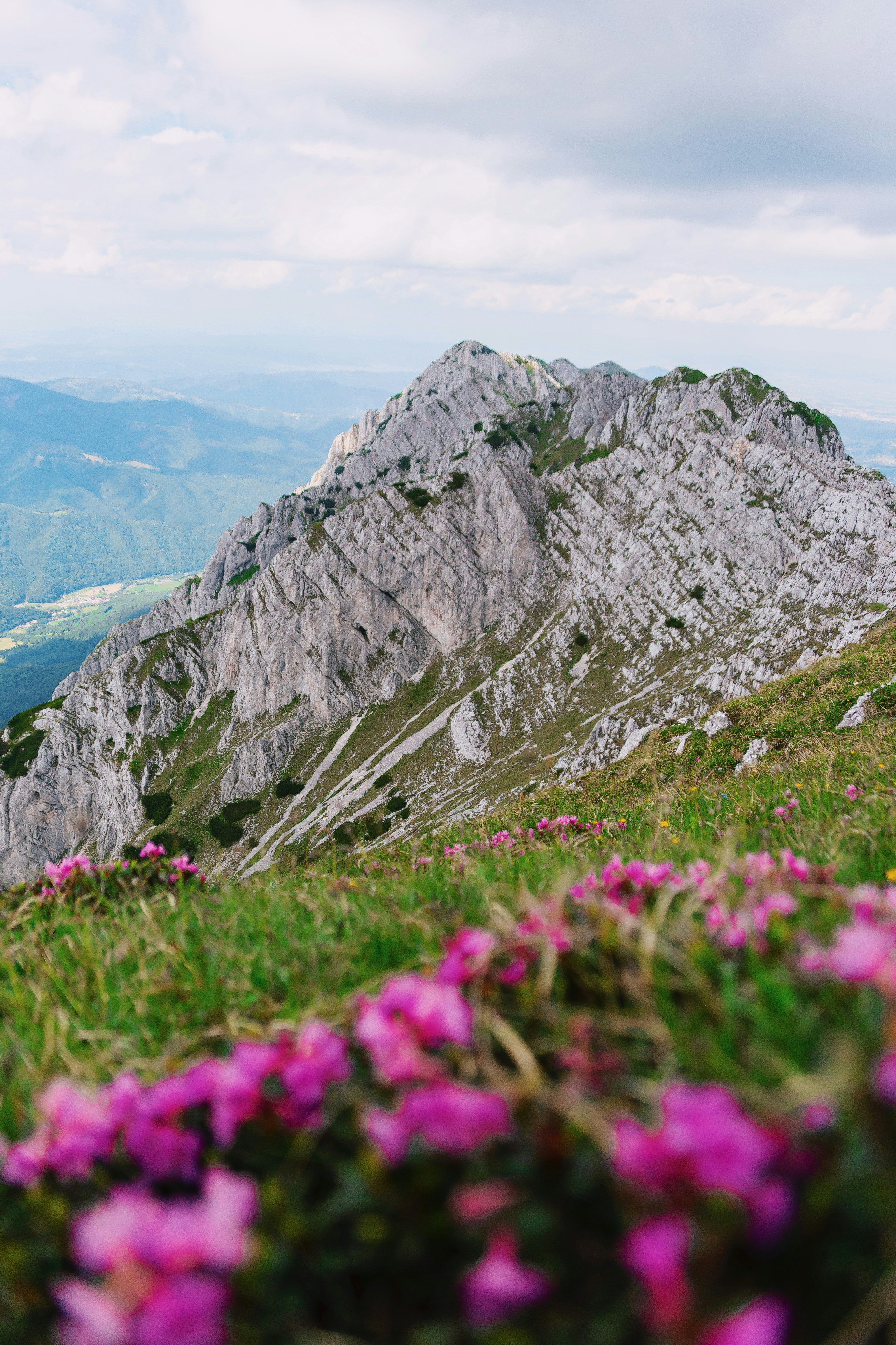 Photo by gloriacretu