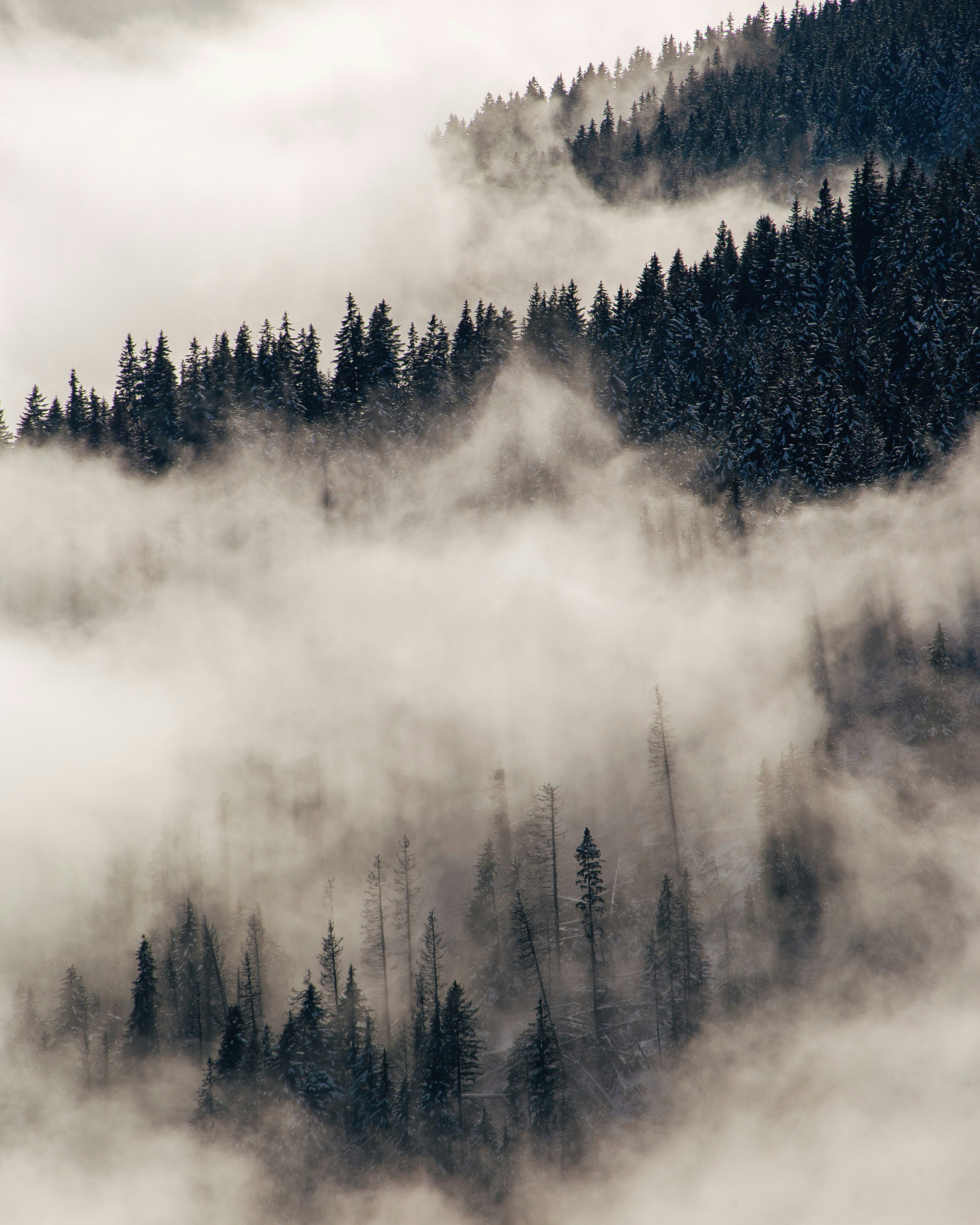 Photo by gloriacretu