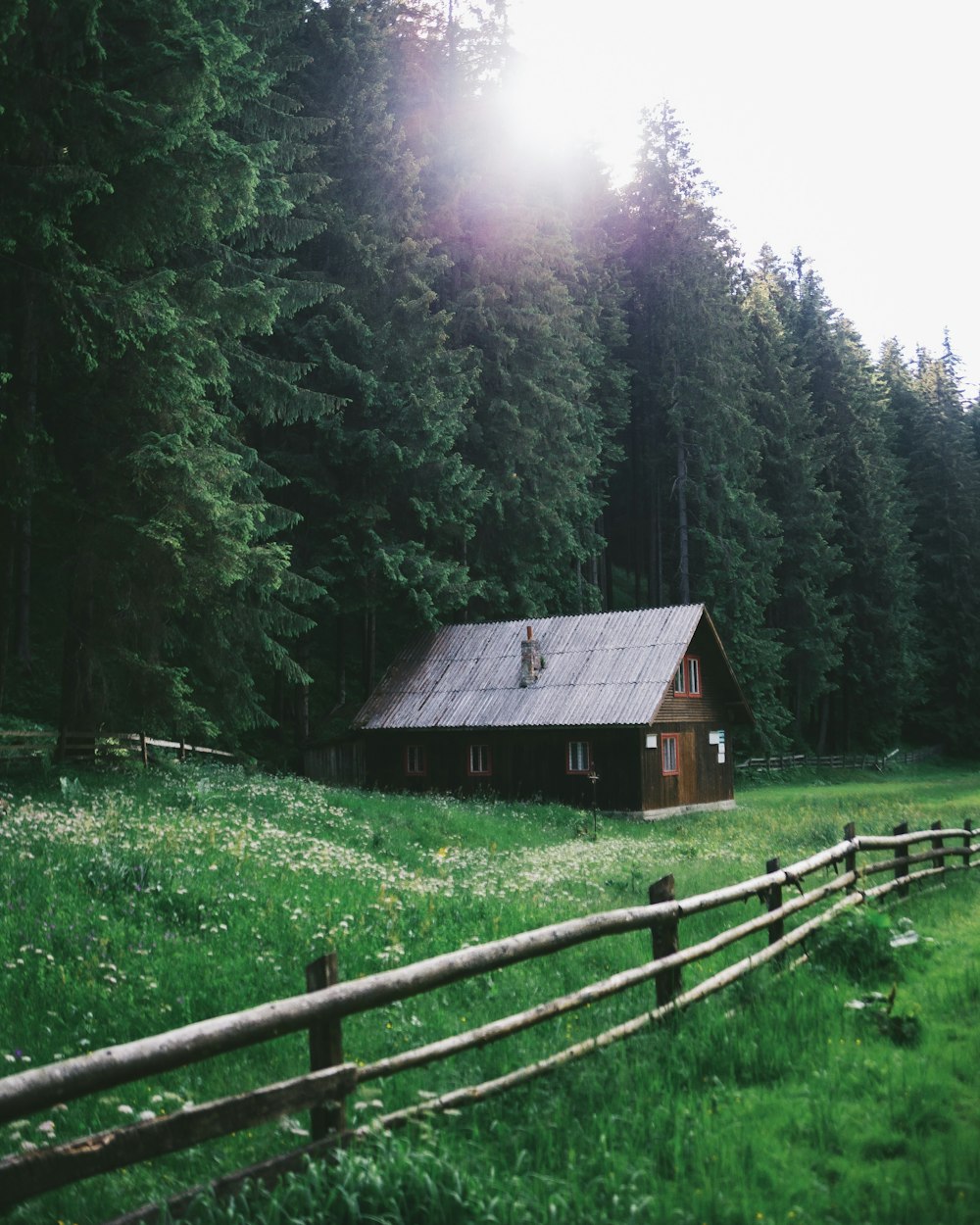 a small cabin in the middle of a forest