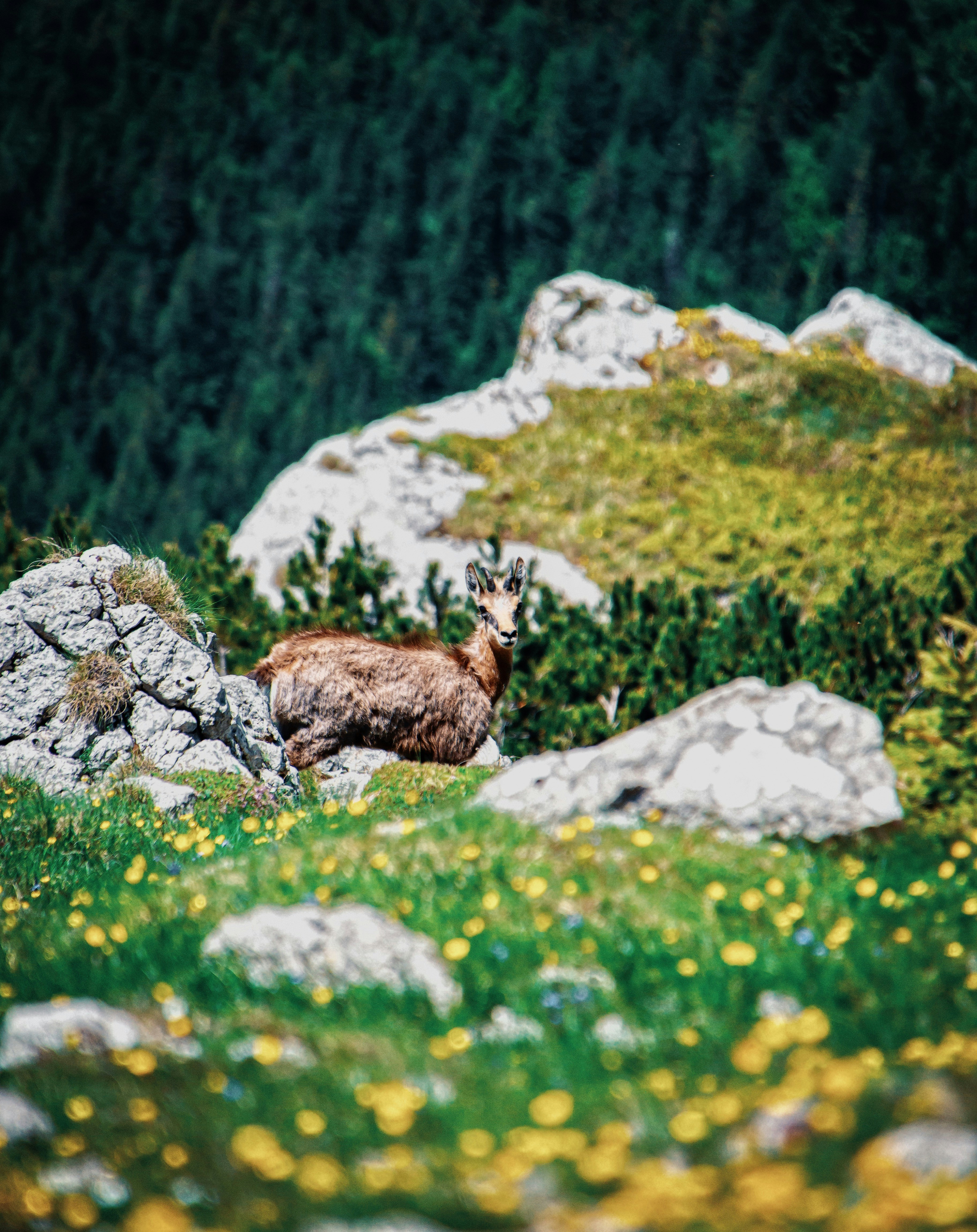 Photo by gloriacretu