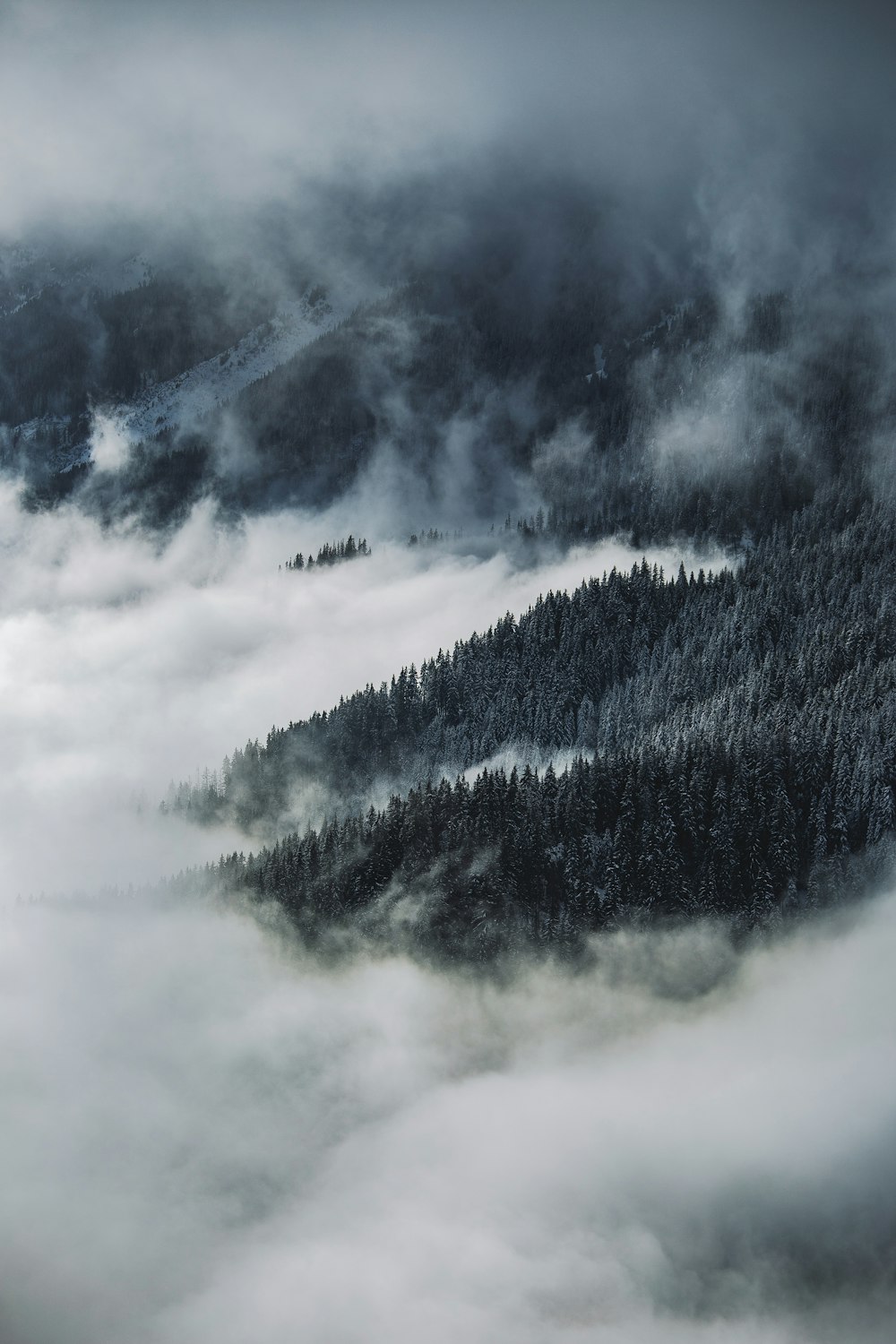 Una vista de una montaña cubierta de niebla