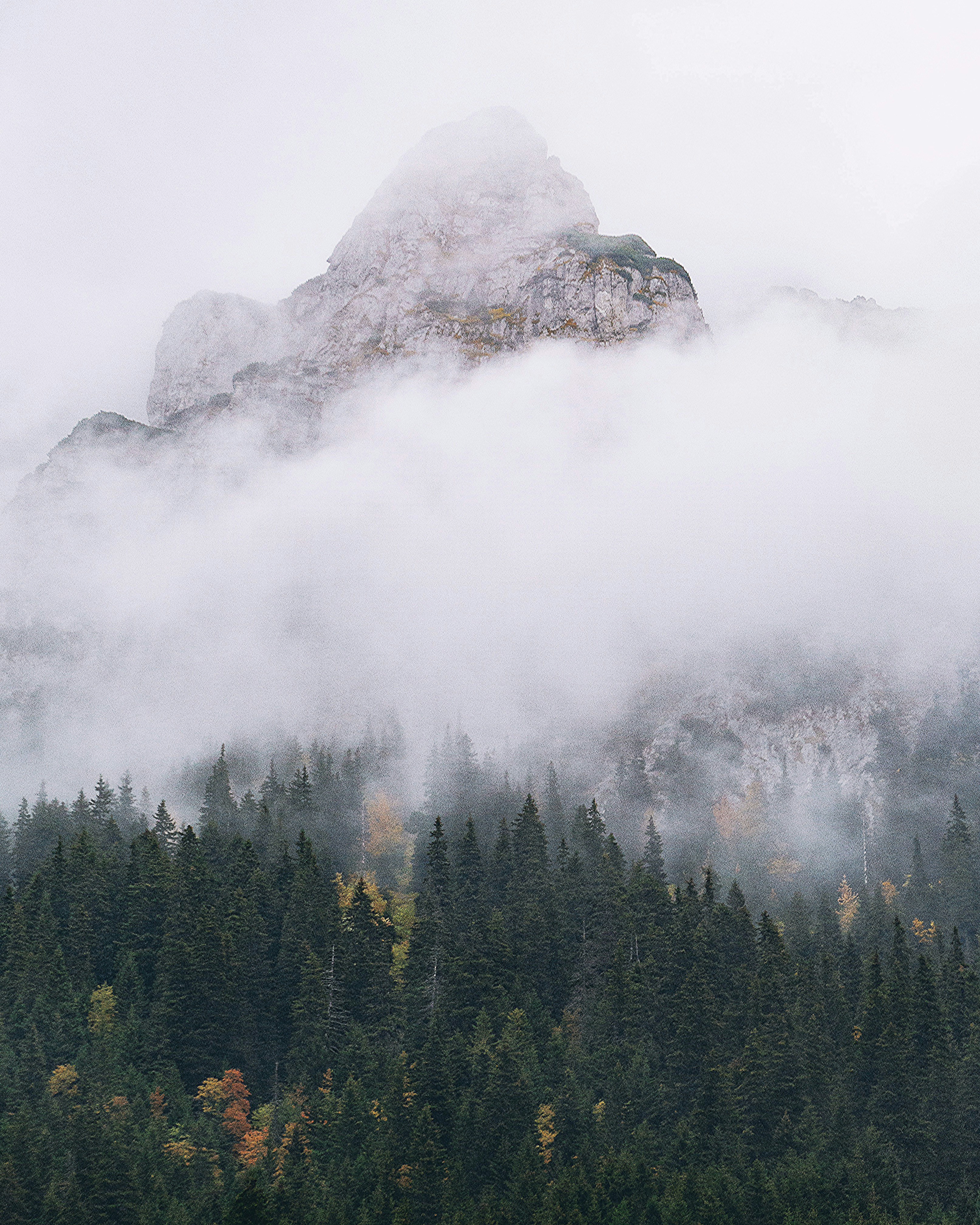 a mountain covered in fog with trees in the foreground
