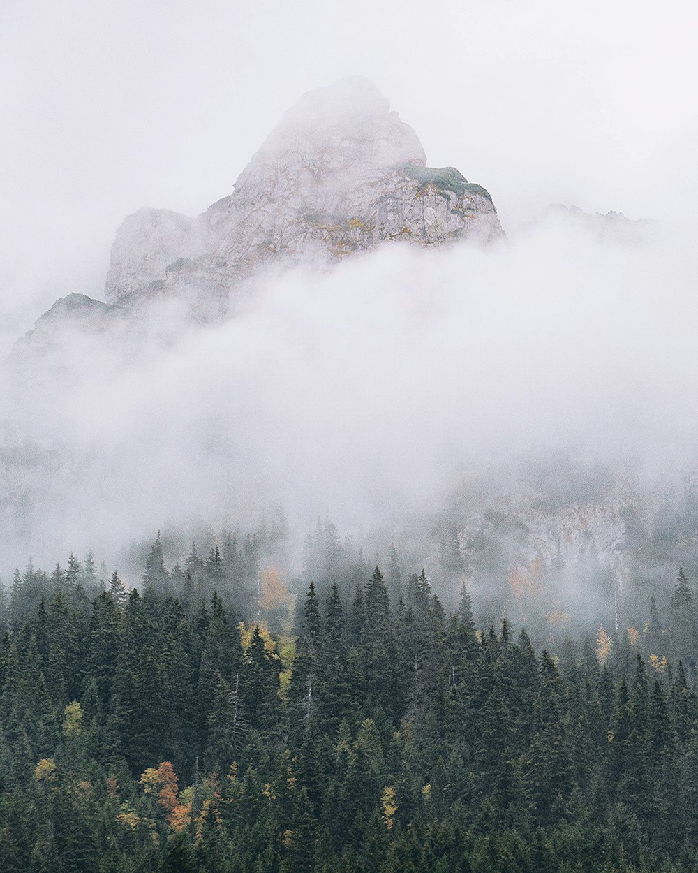 a mountain covered in fog with trees in the foreground