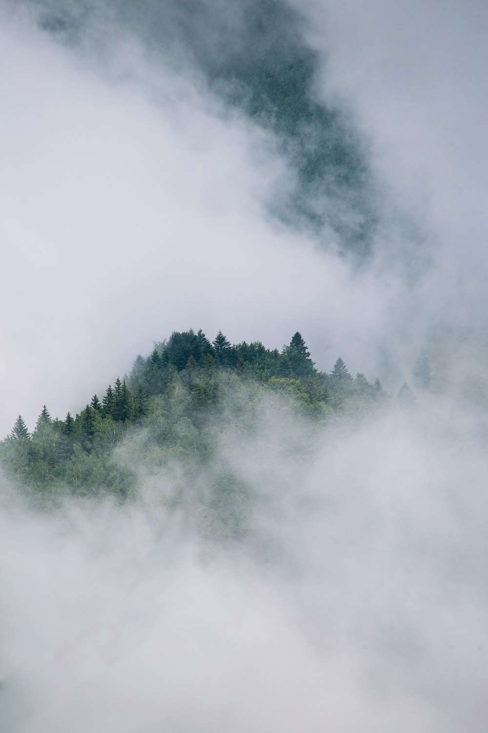 a mountain covered in fog with trees on top