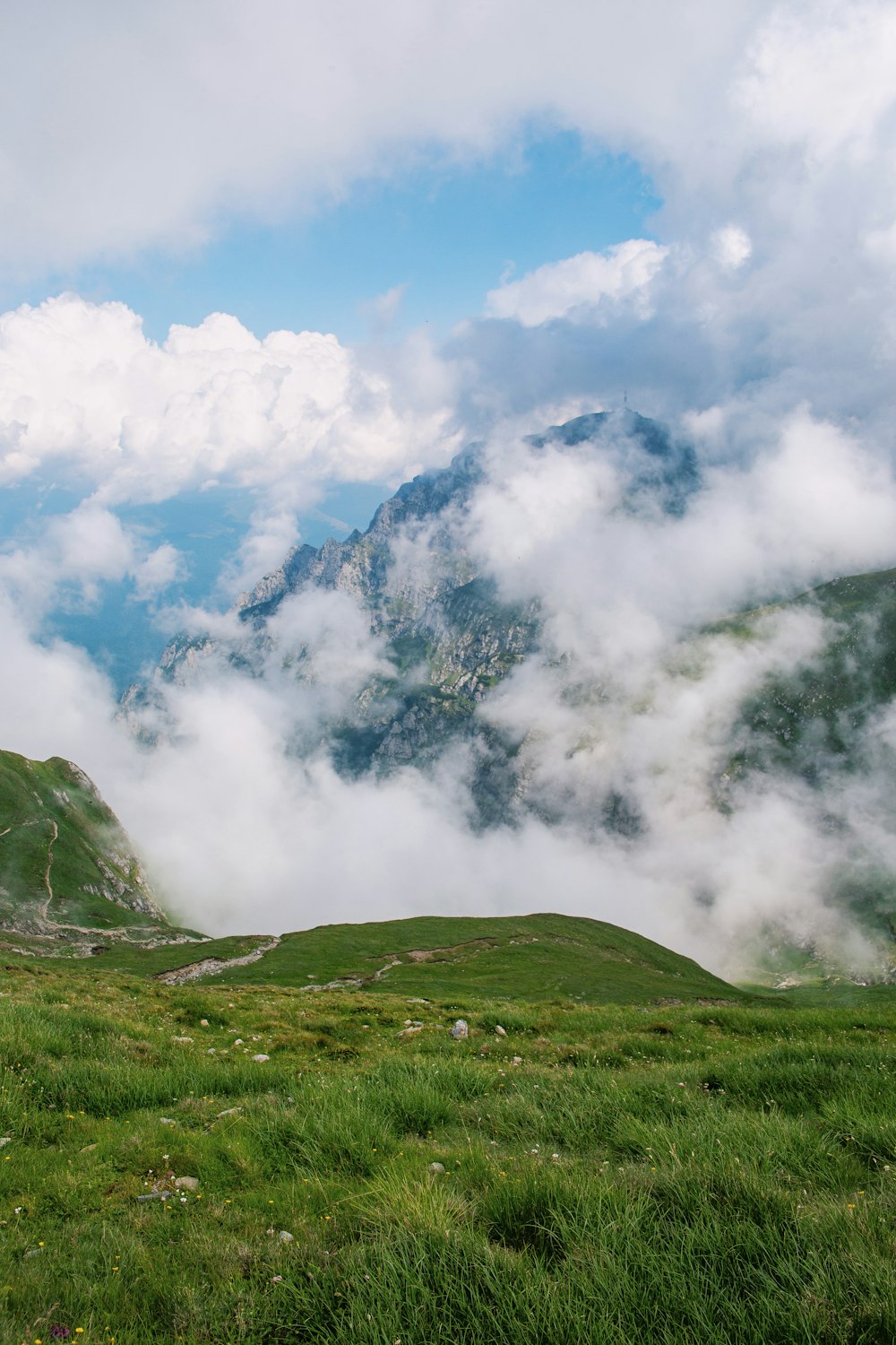 a grassy field with a mountain in the background