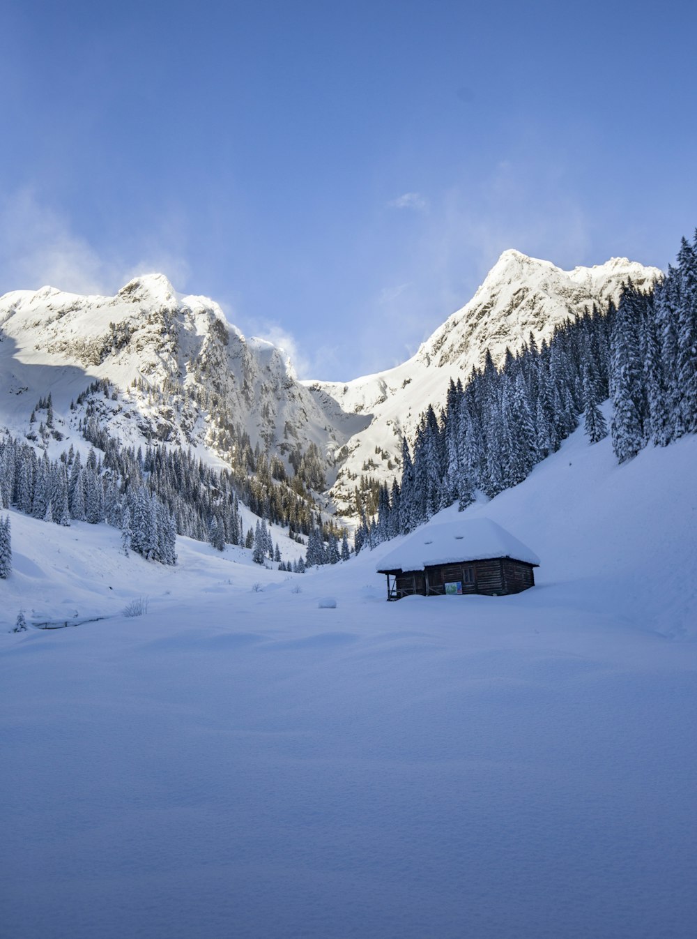 a cabin in the middle of a snowy mountain