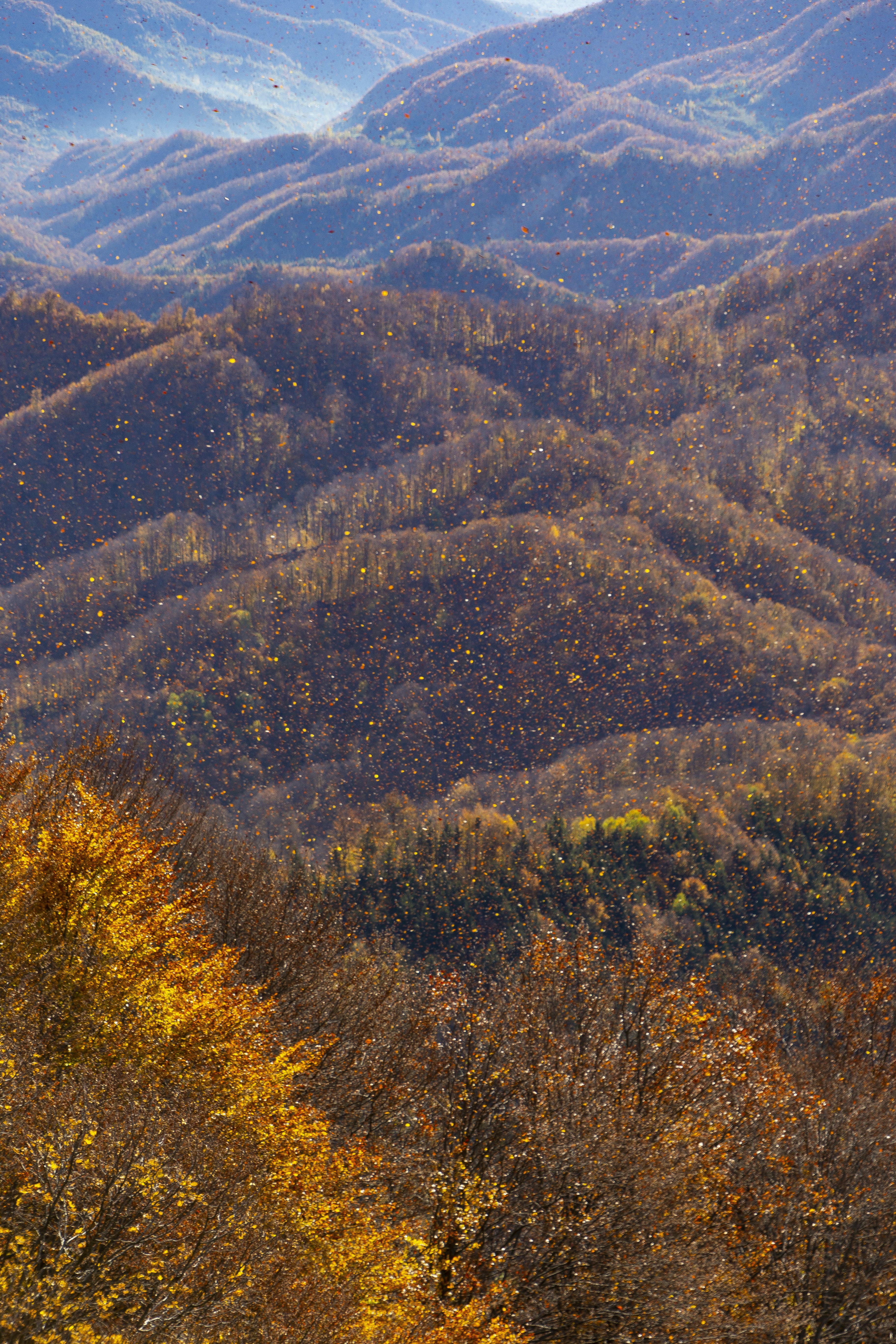 a view of a mountain range with trees in the foreground