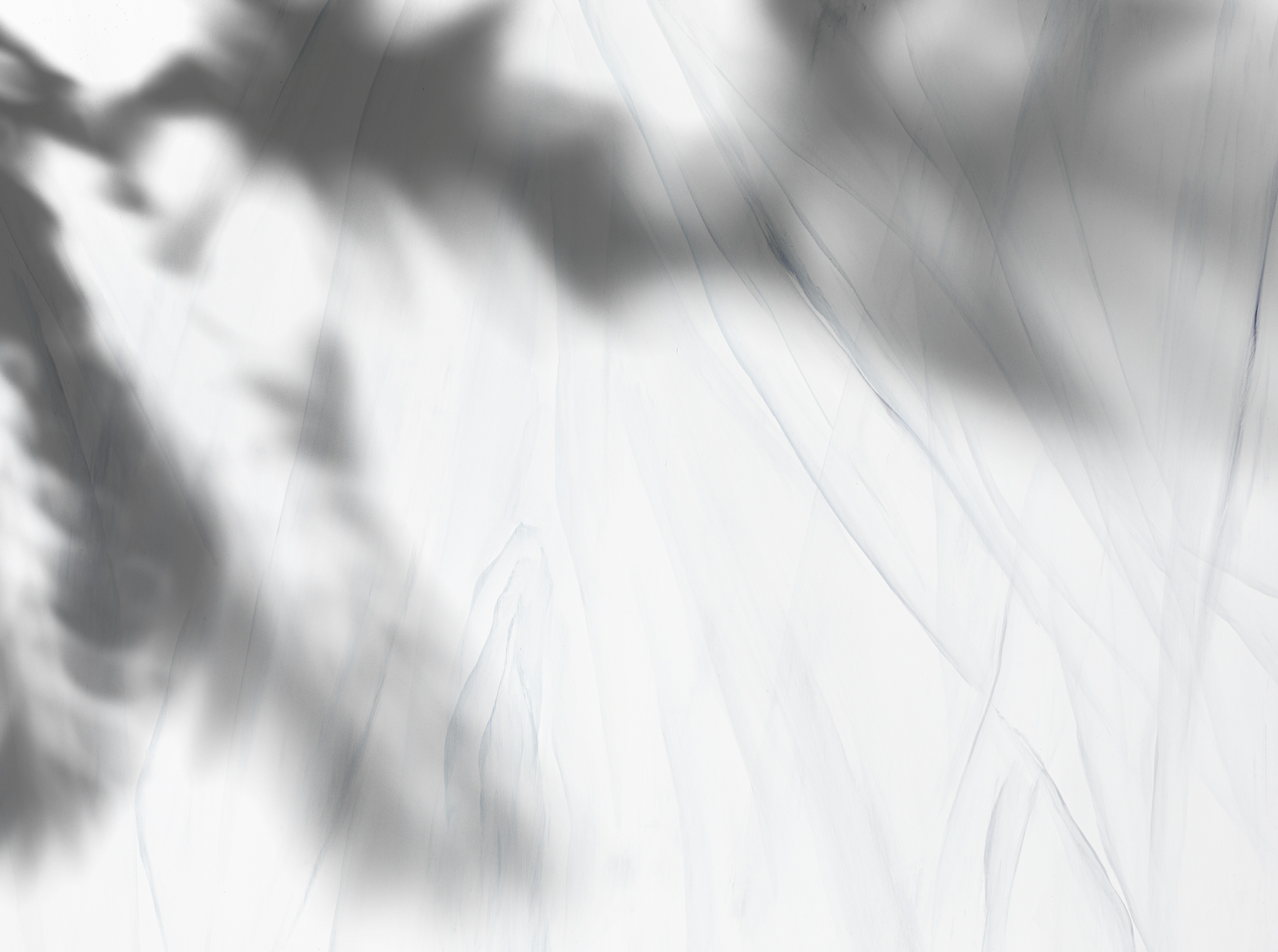 Photo by sergeykotenev