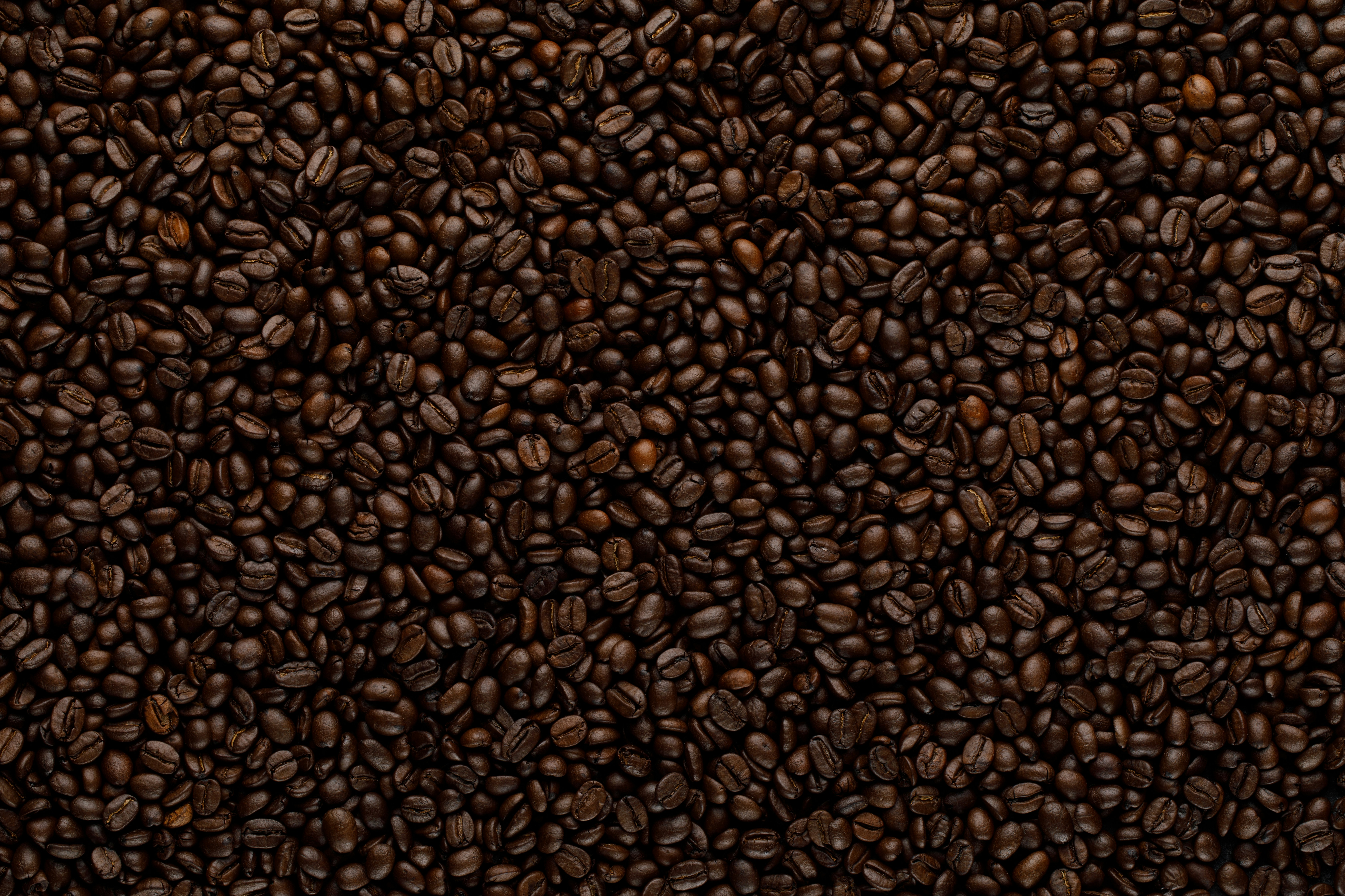 Photo by sergeykotenev