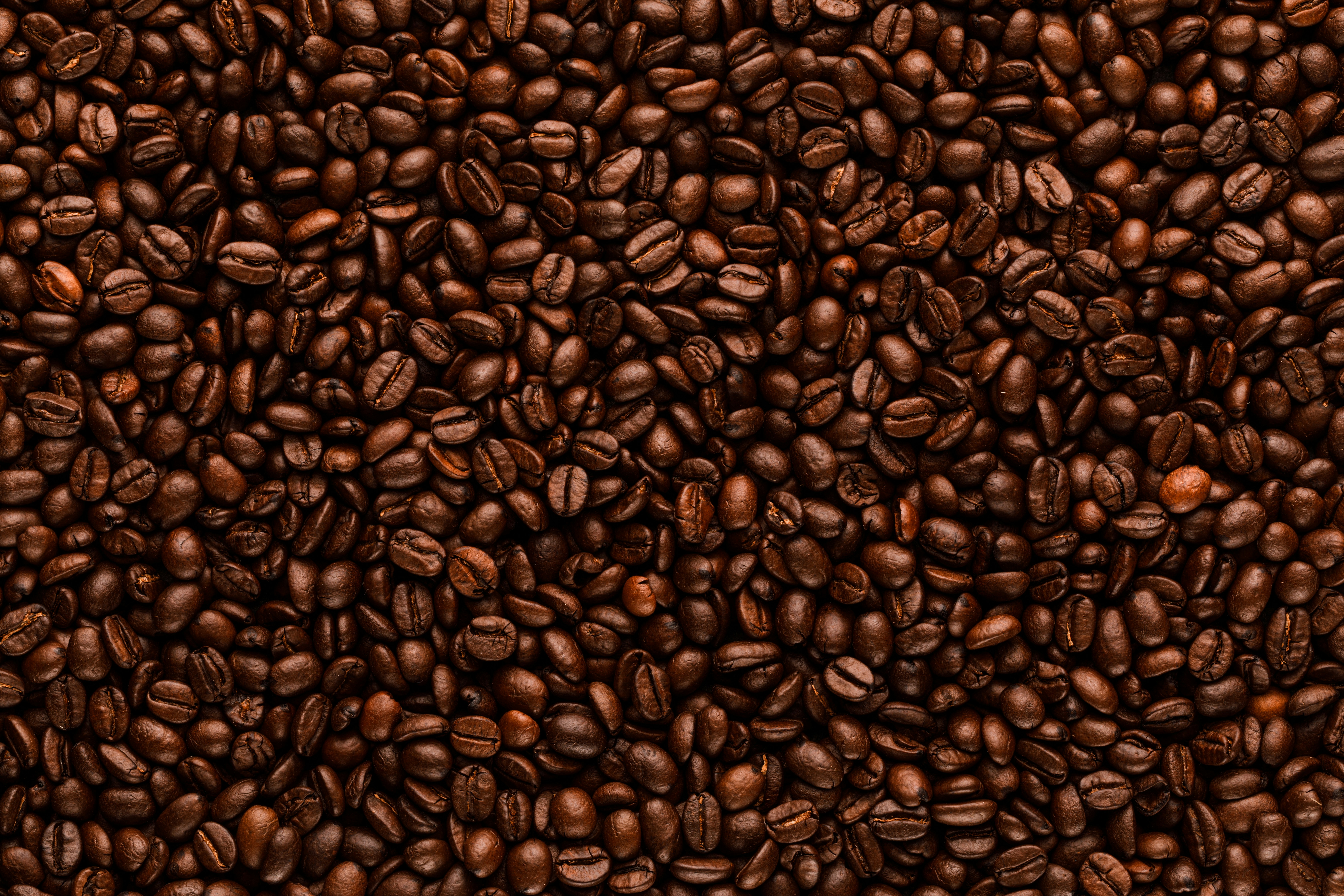 Photo by sergeykotenev