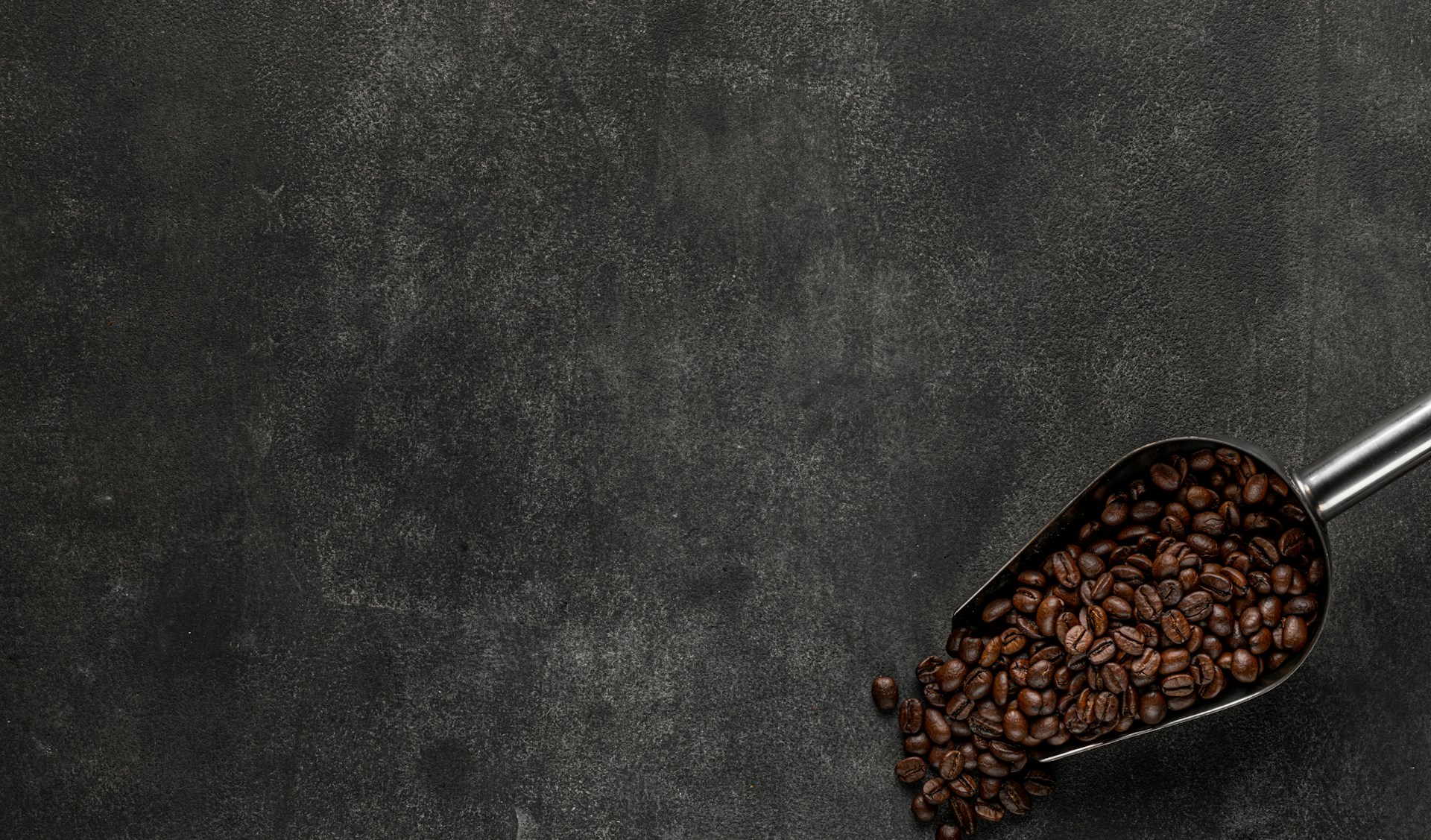 a scoop of coffee beans on a dark background
