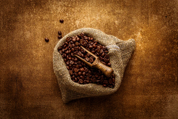 Rustic wooden scoop filled with Mysore Nuggets Extra Bold coffee beans spilling onto a burlap sack.