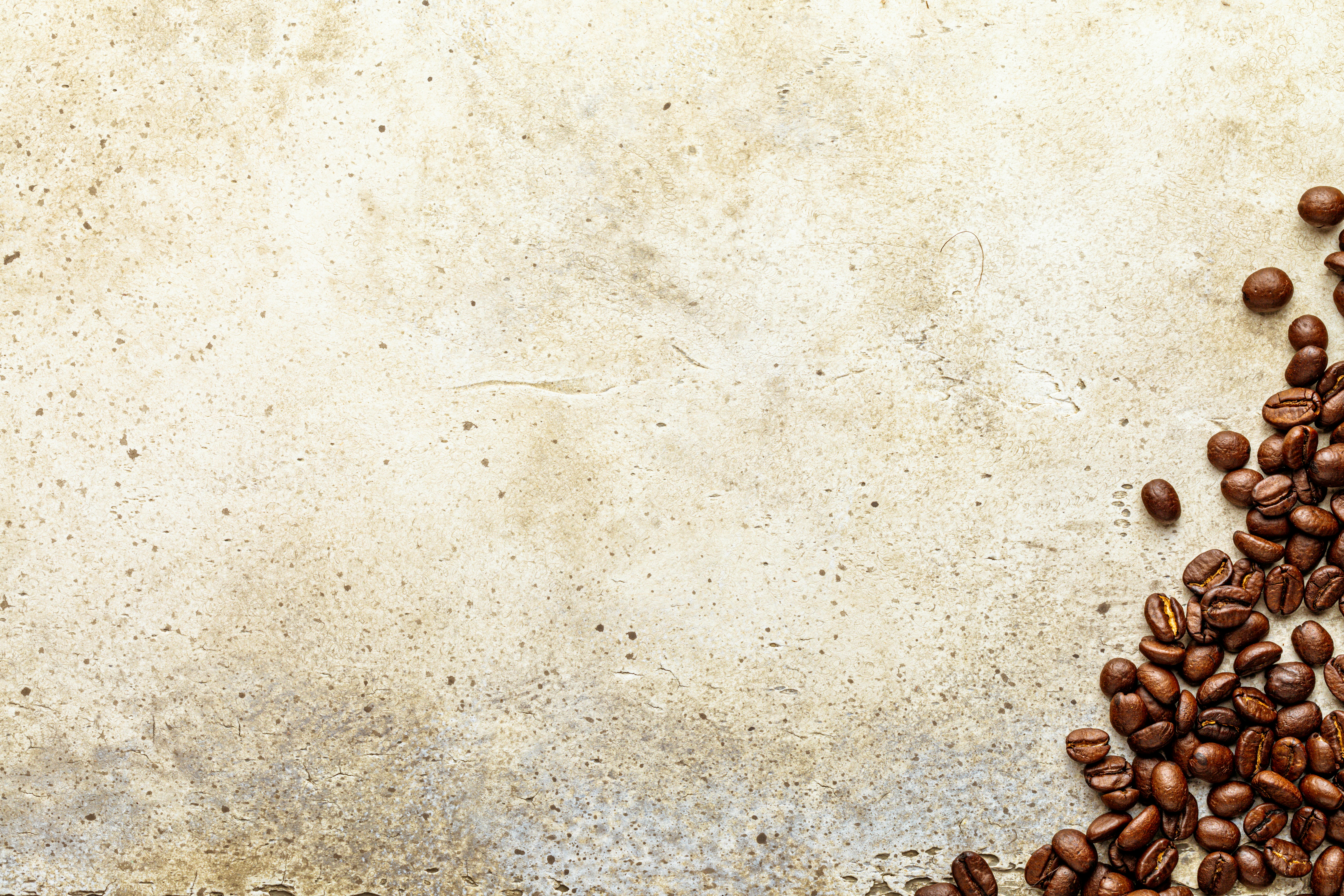 Photo by sergeykotenev