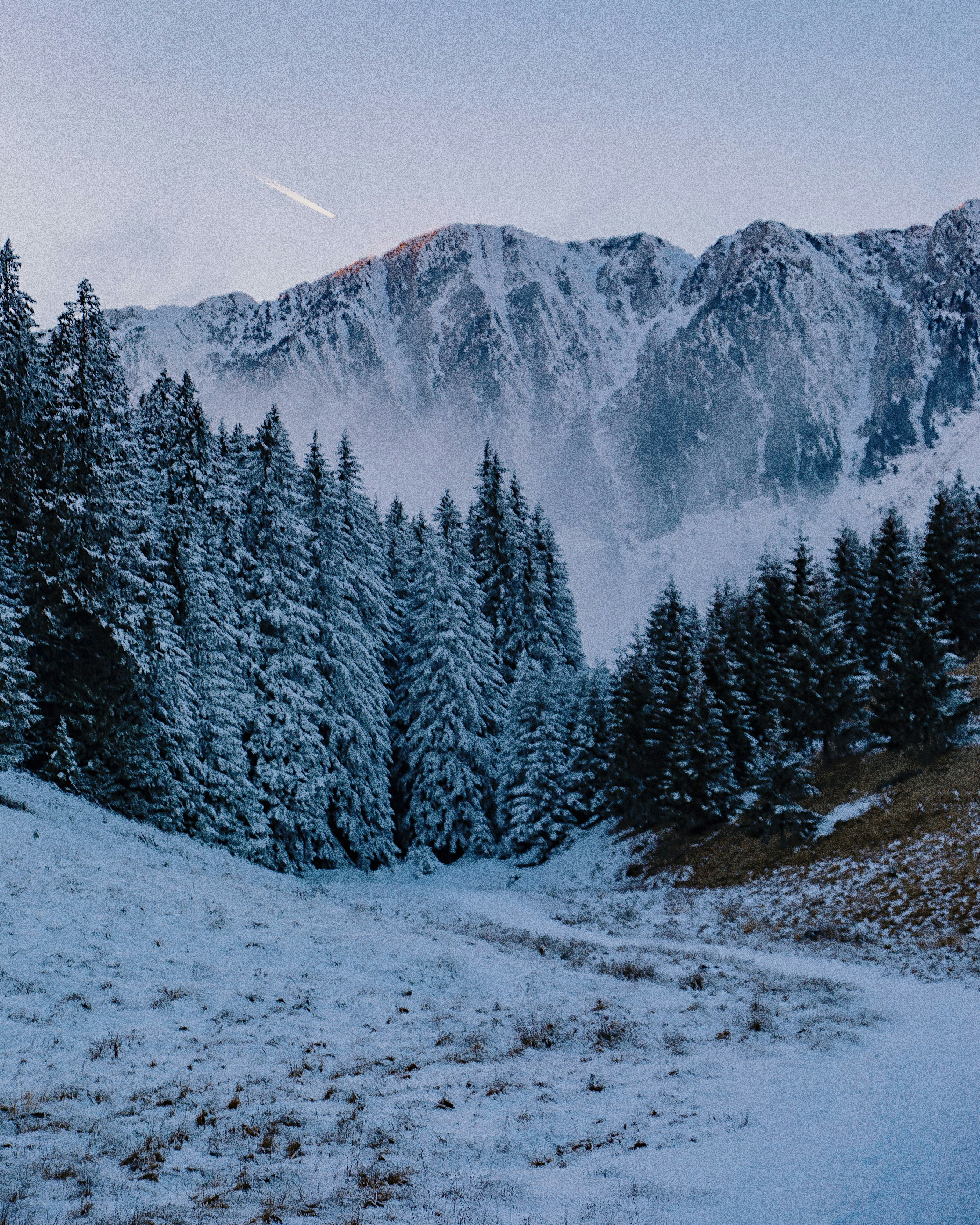 a snow covered mountain with pine trees in the foreground
