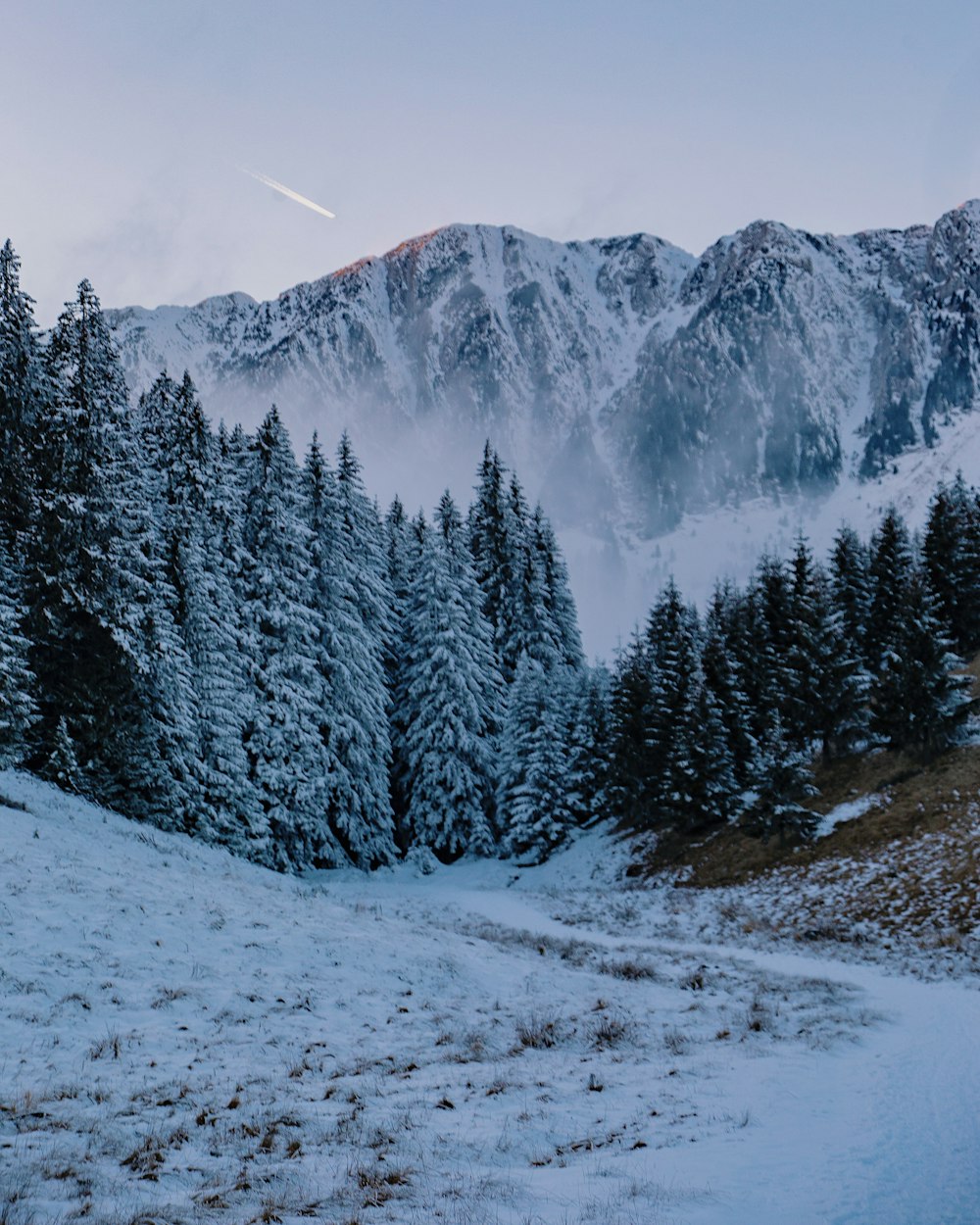 a snow covered mountain with pine trees in the foreground