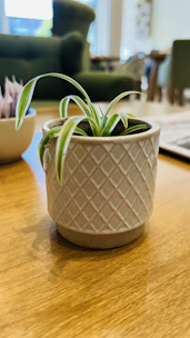 A cozy indoor scene featuring a small artificial plant in a stylish ceramic pot on a wooden shelf.