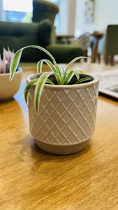 Handcrafted Ceramic Pot