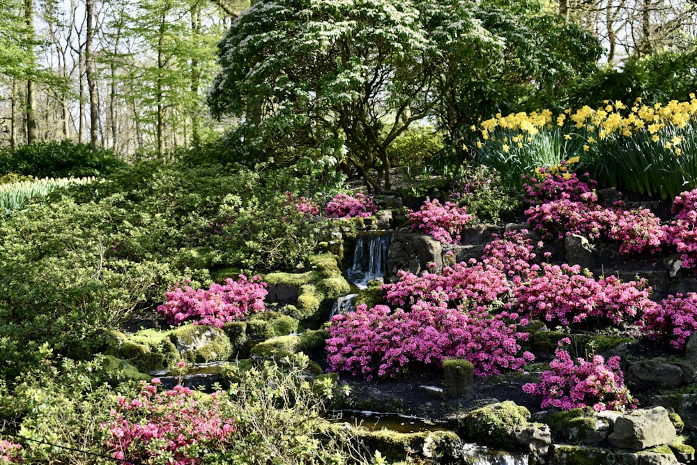 a garden filled with lots of purple flowers