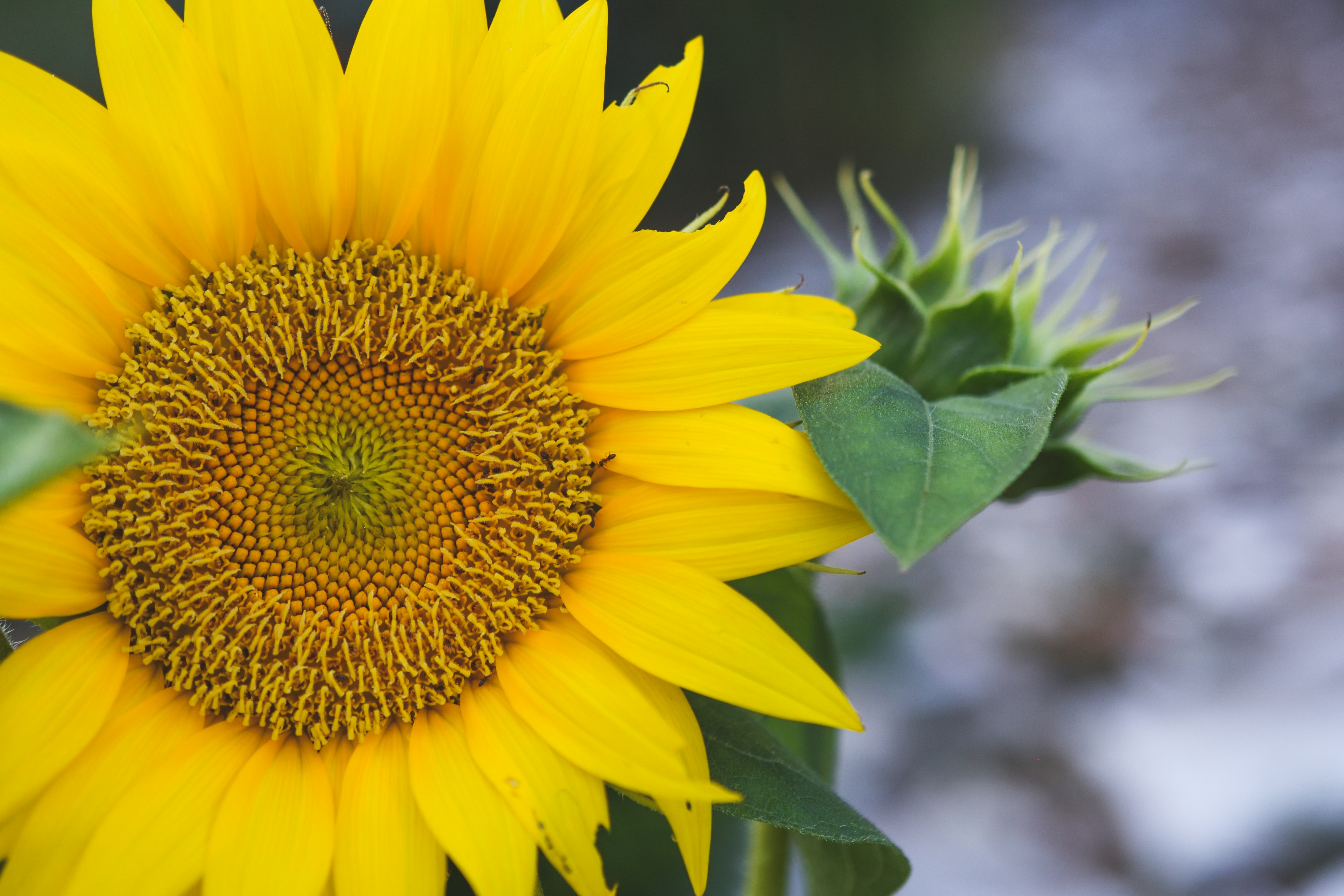 Photo by haleyparson