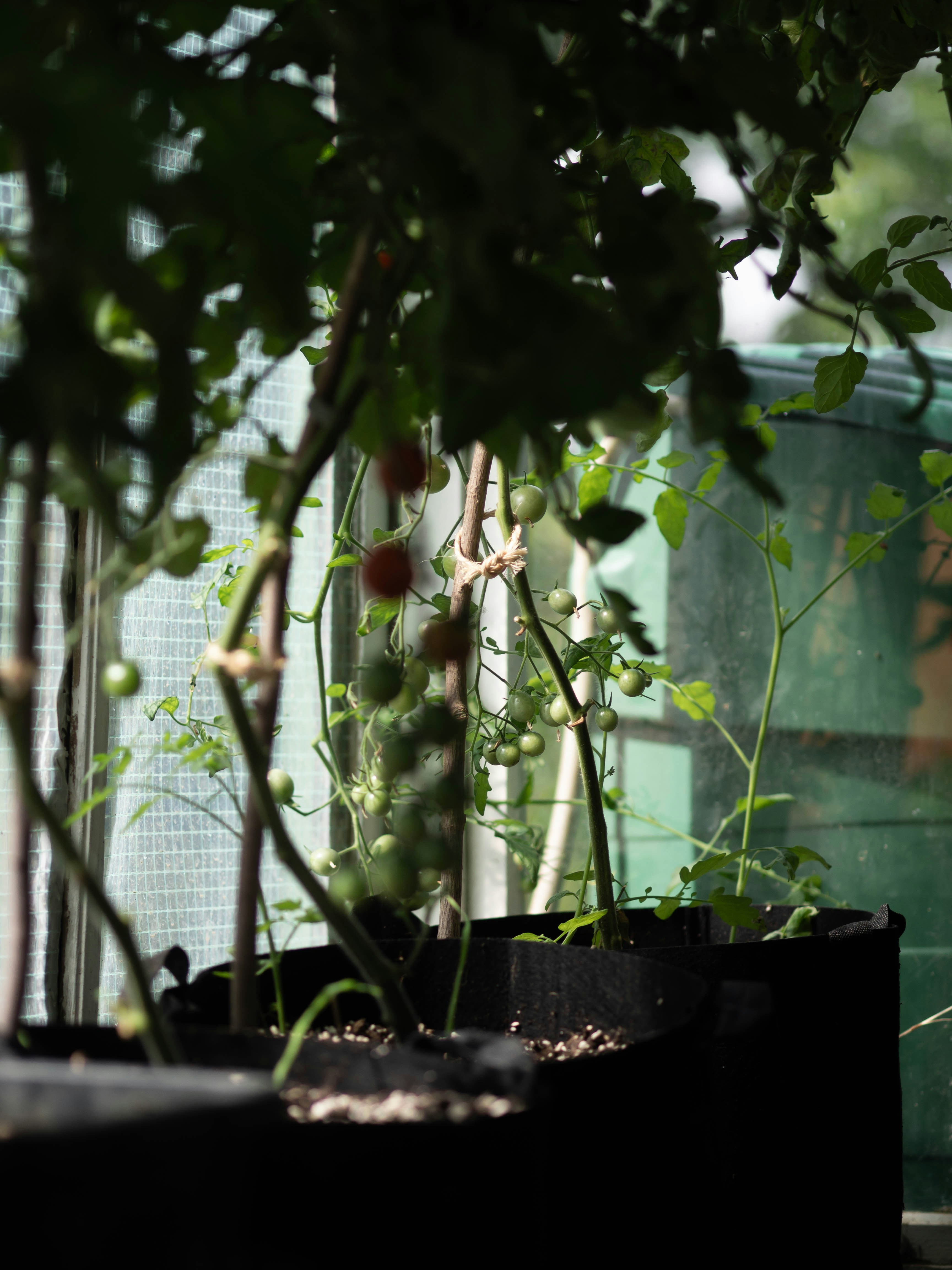 Photo by eileen_kummer