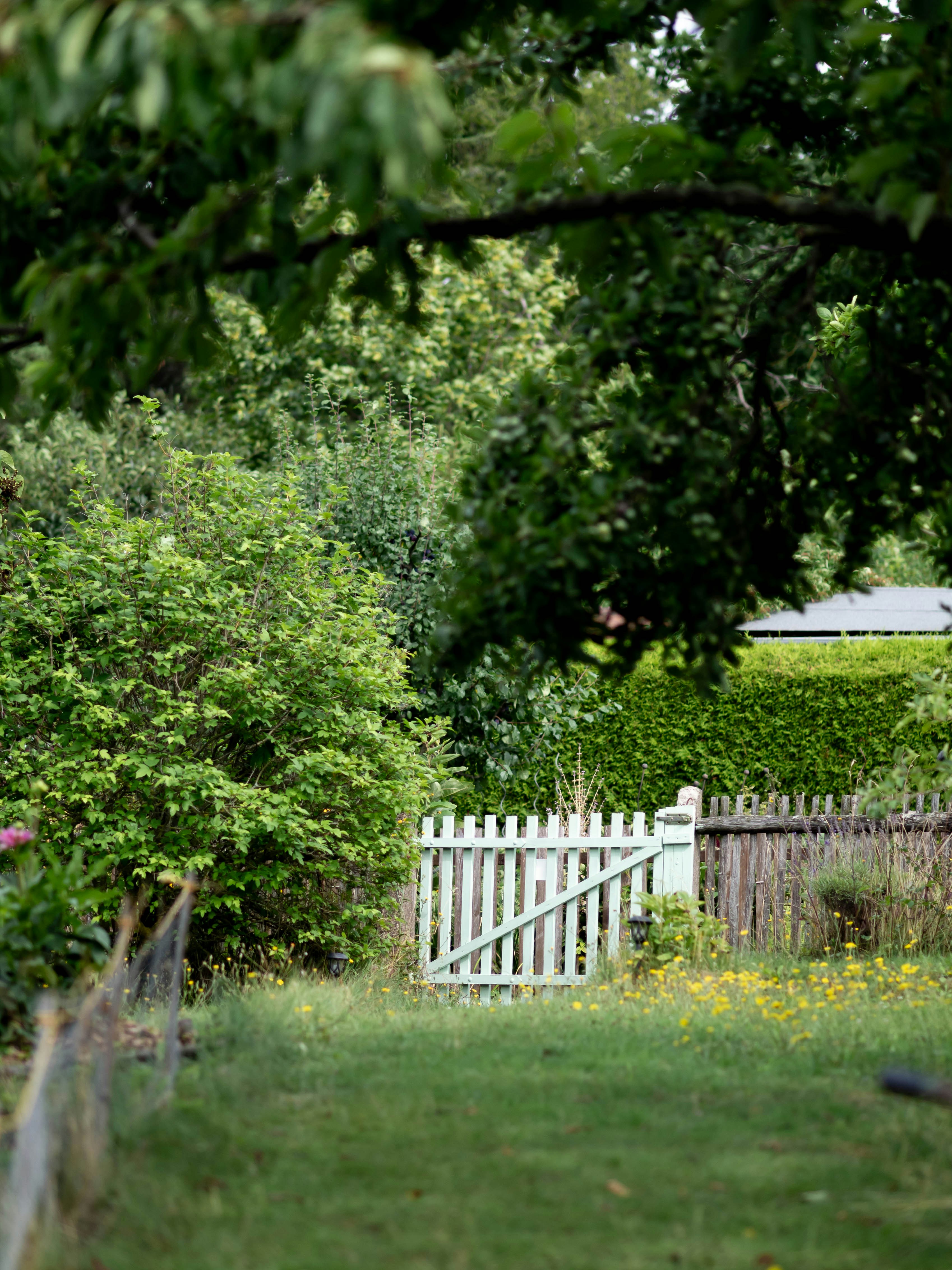 Photo by eileen_kummer