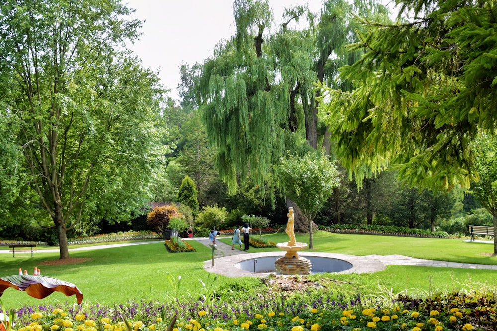 a park filled with lots of trees and flowers