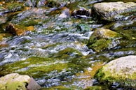 A crystal-clear river flowing over smooth rocks, perfect for a peaceful afternoon by the water.