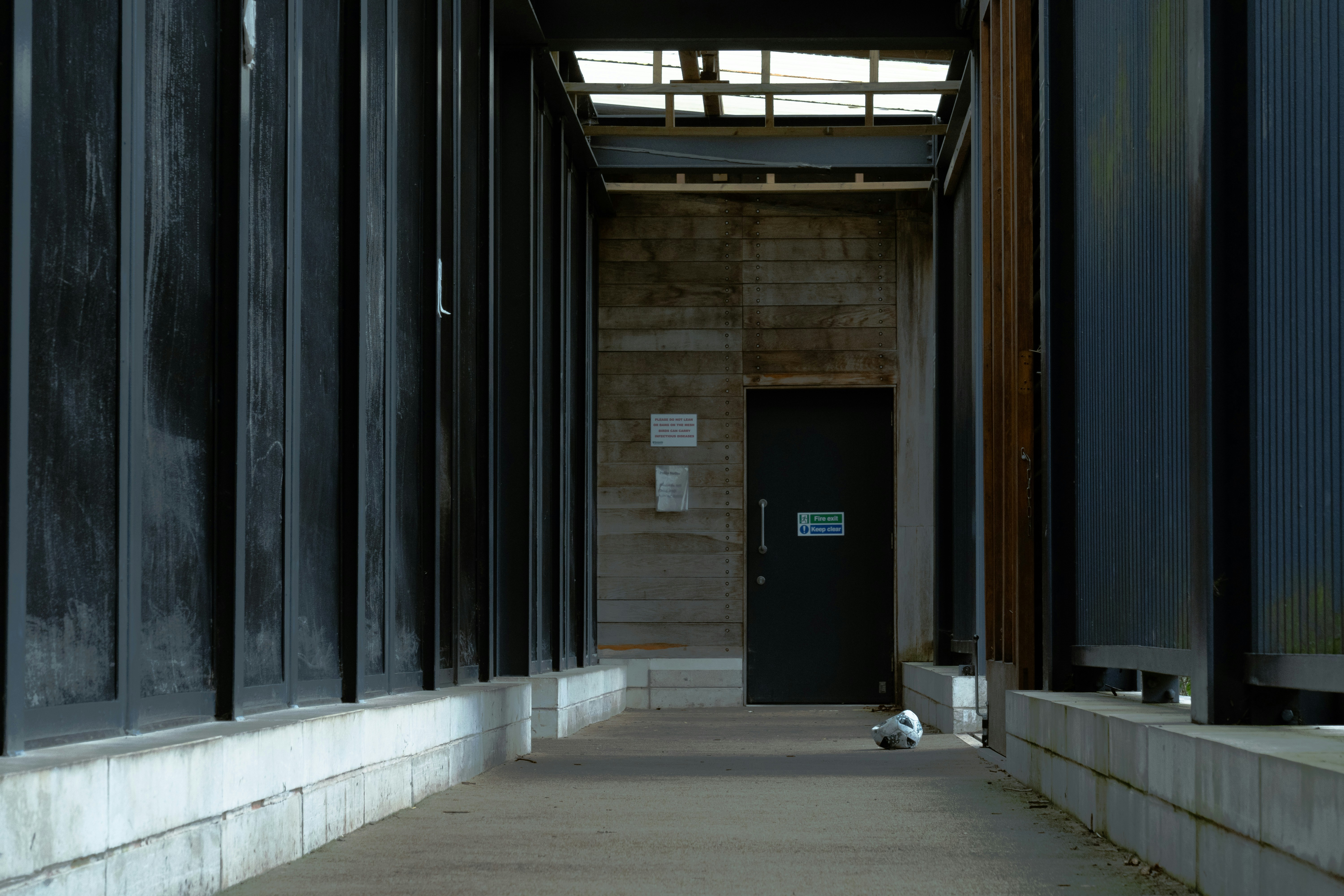 a hallway with a black door and a white cat laying on the ground