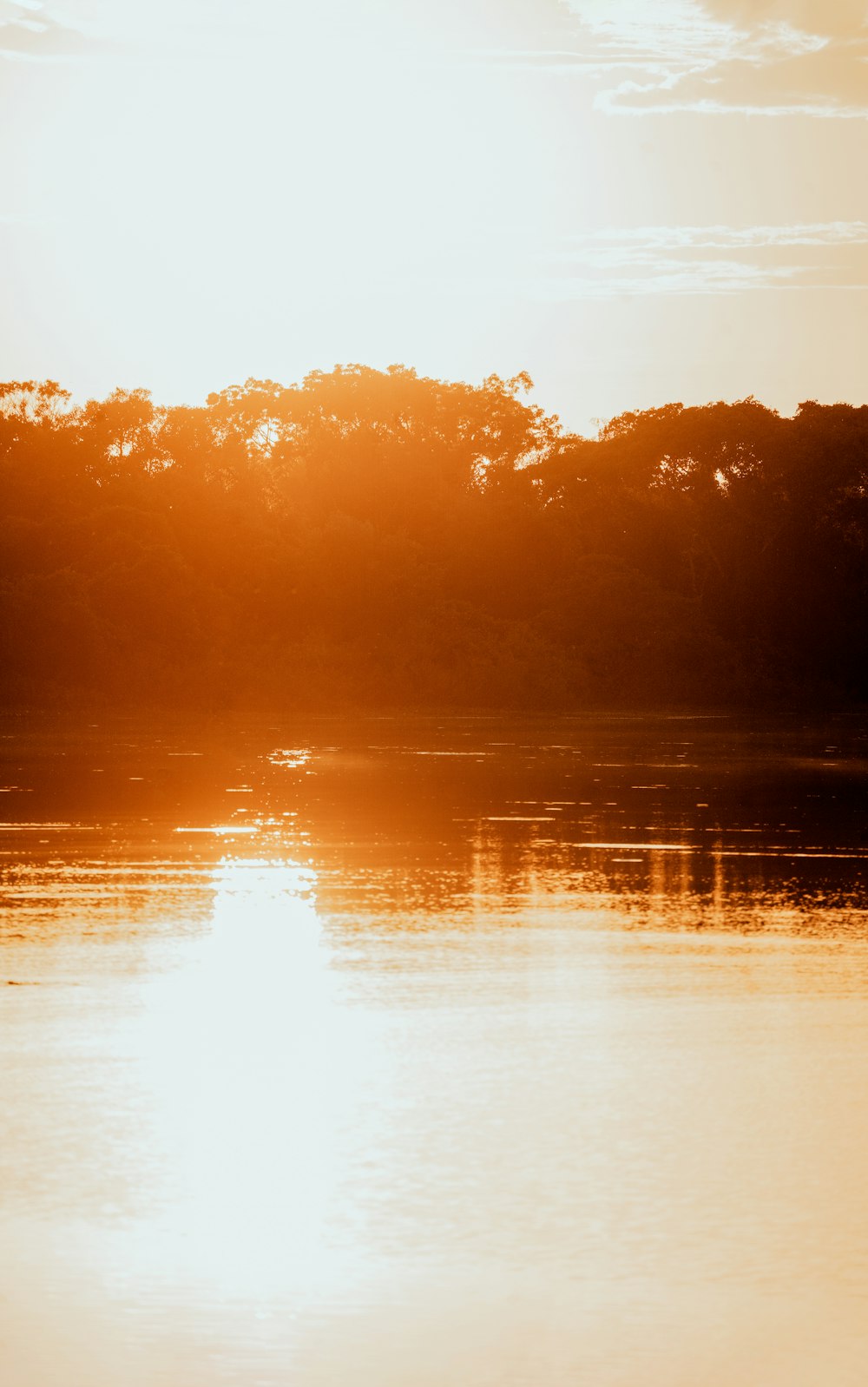 a large body of water with trees in the background