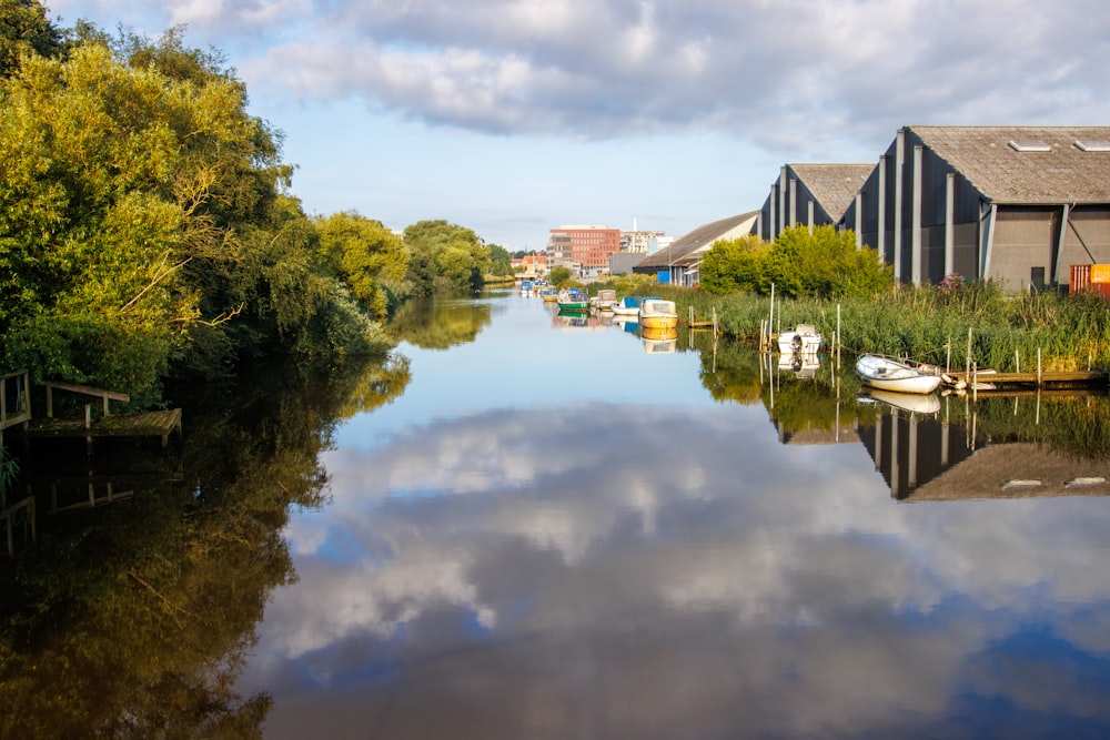 a body of water surrounded by trees and buildings