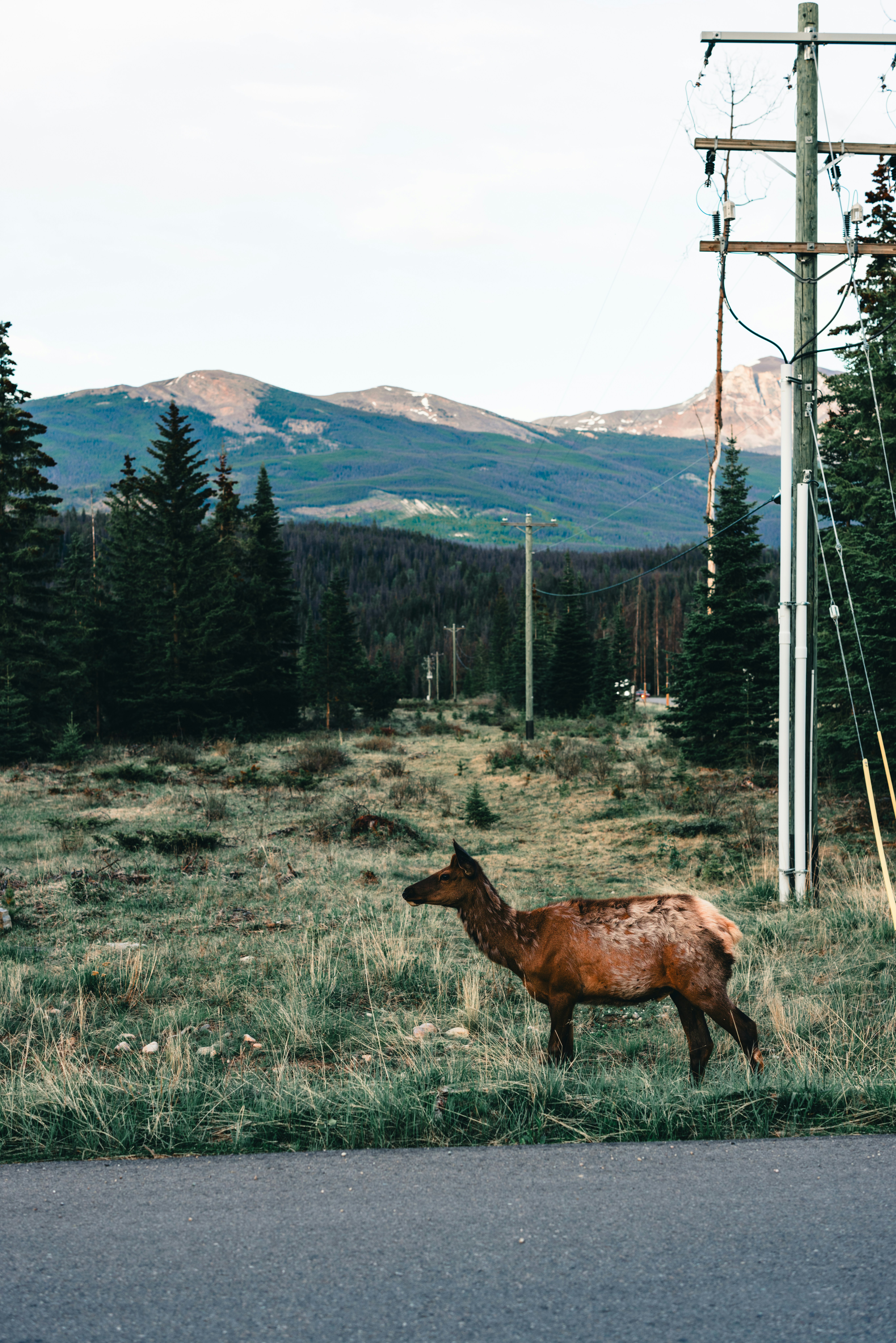 Photo by lureofadventure
