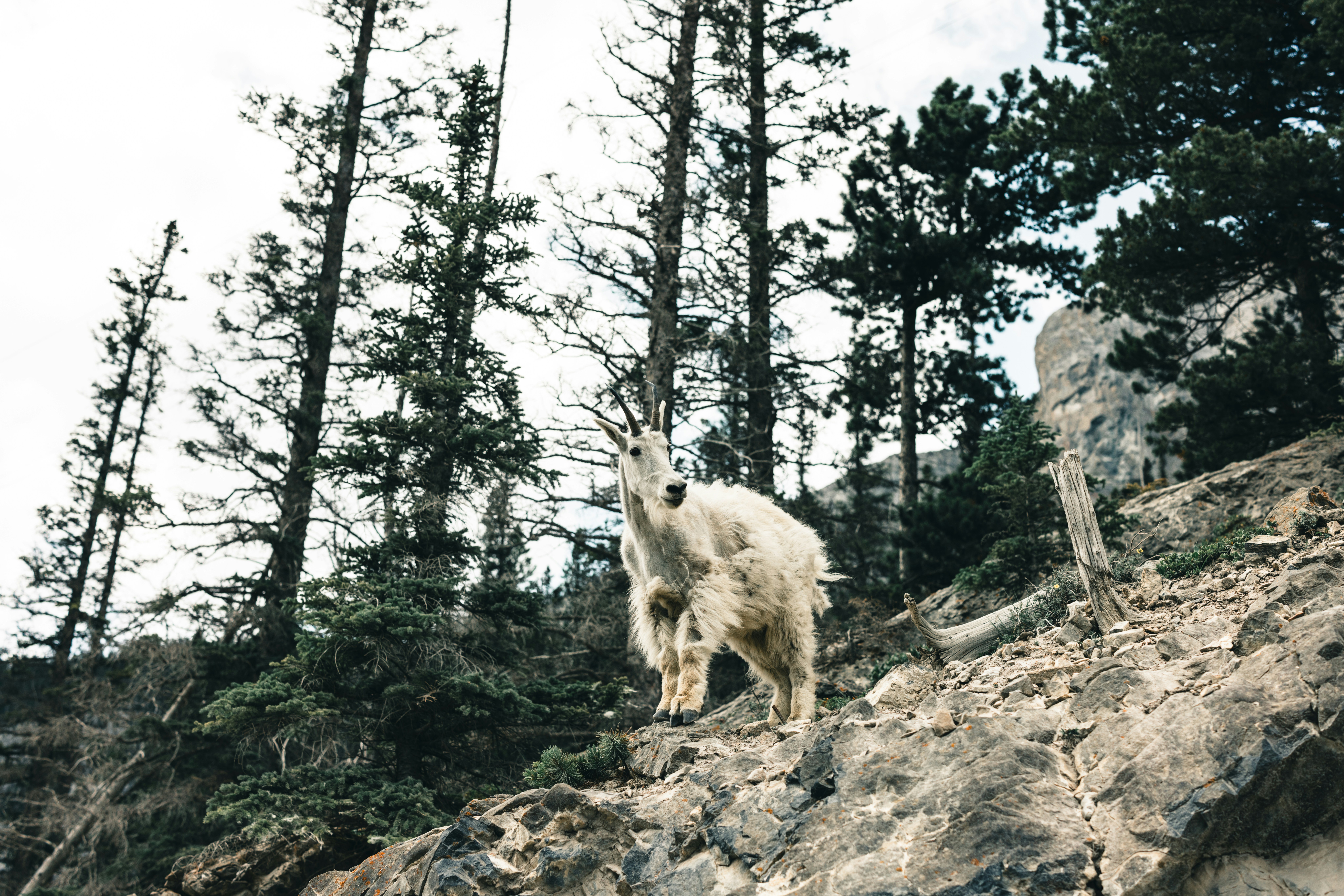 Photo by lureofadventure