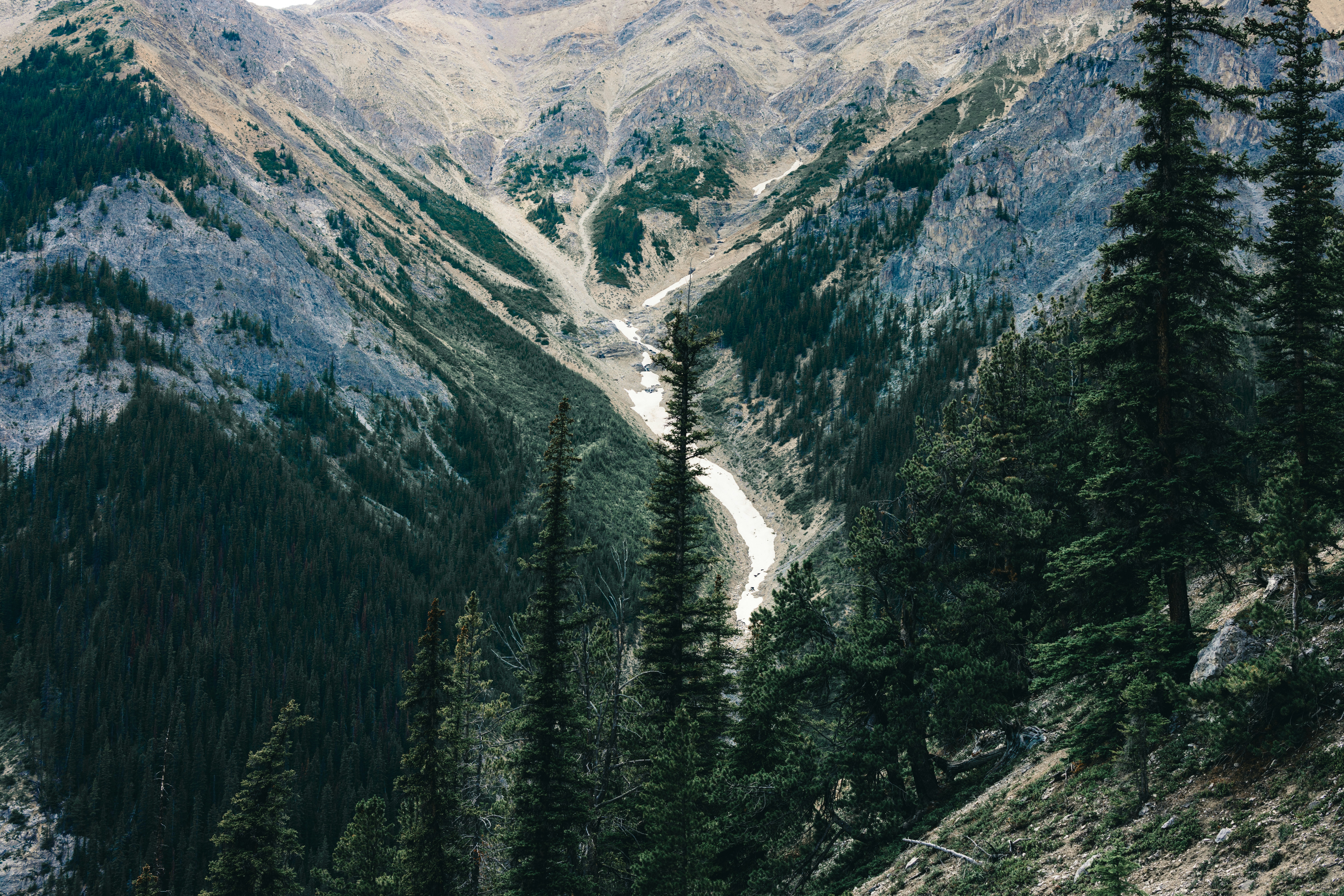 Photo by lureofadventure