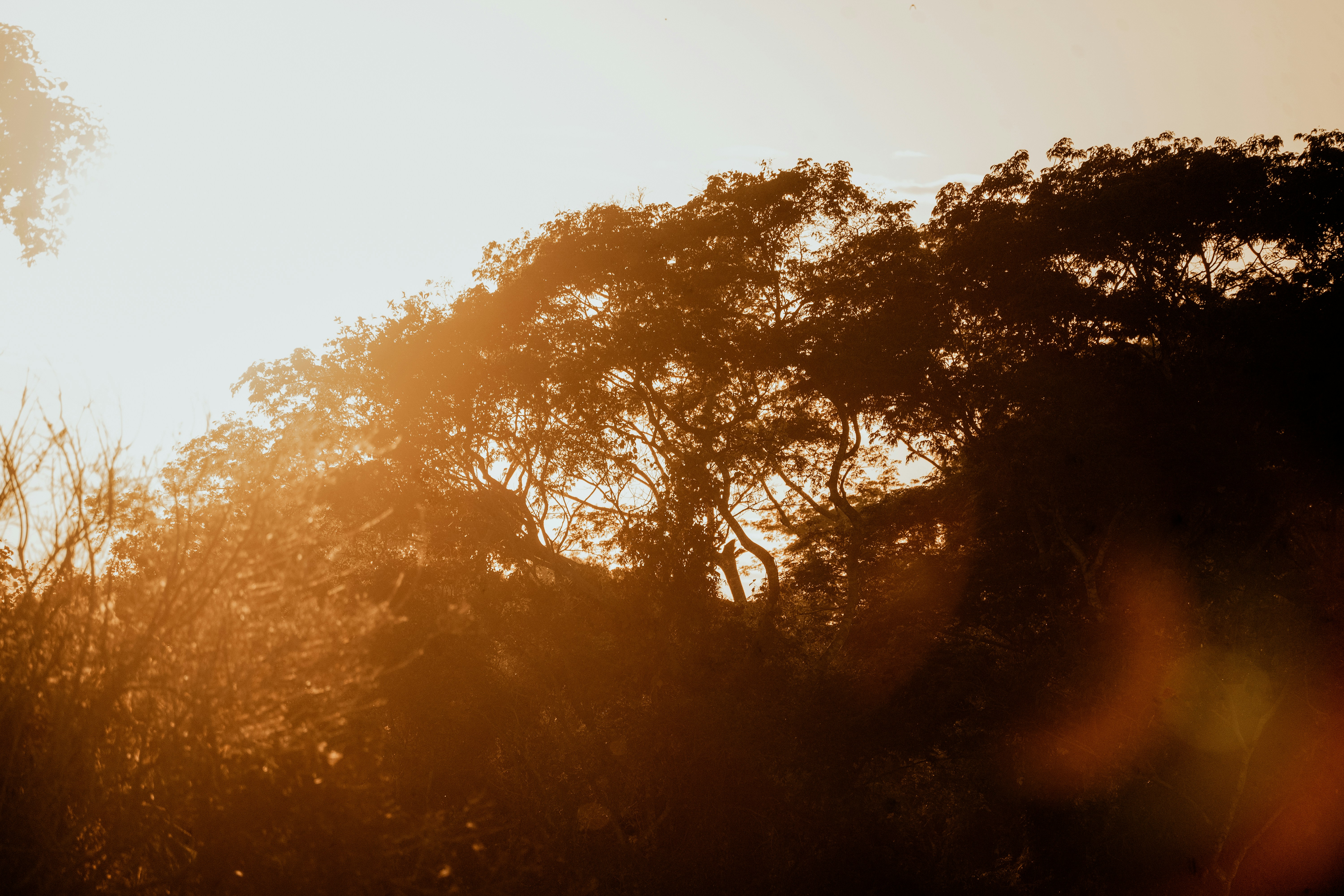 Photo by dubai_love_story